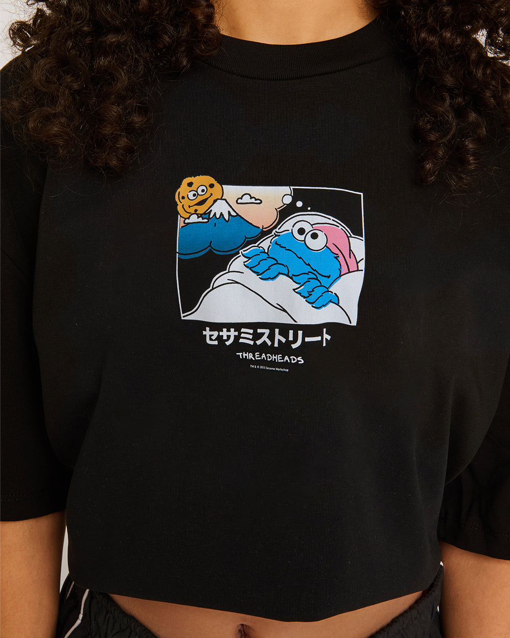 Cookie Monster Fuji Dreaming Oversized Tee