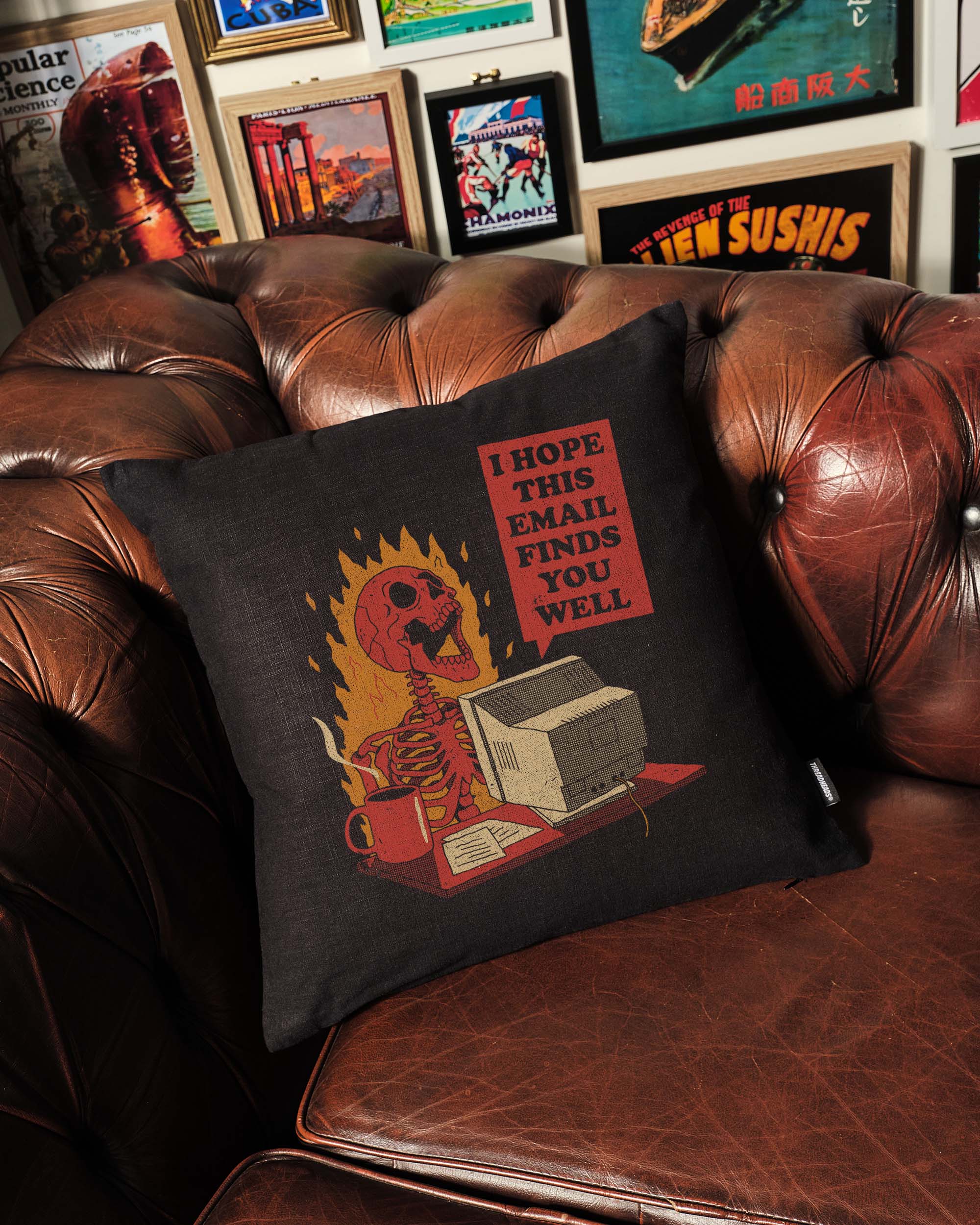 You Got Mail Cushion Australia Online