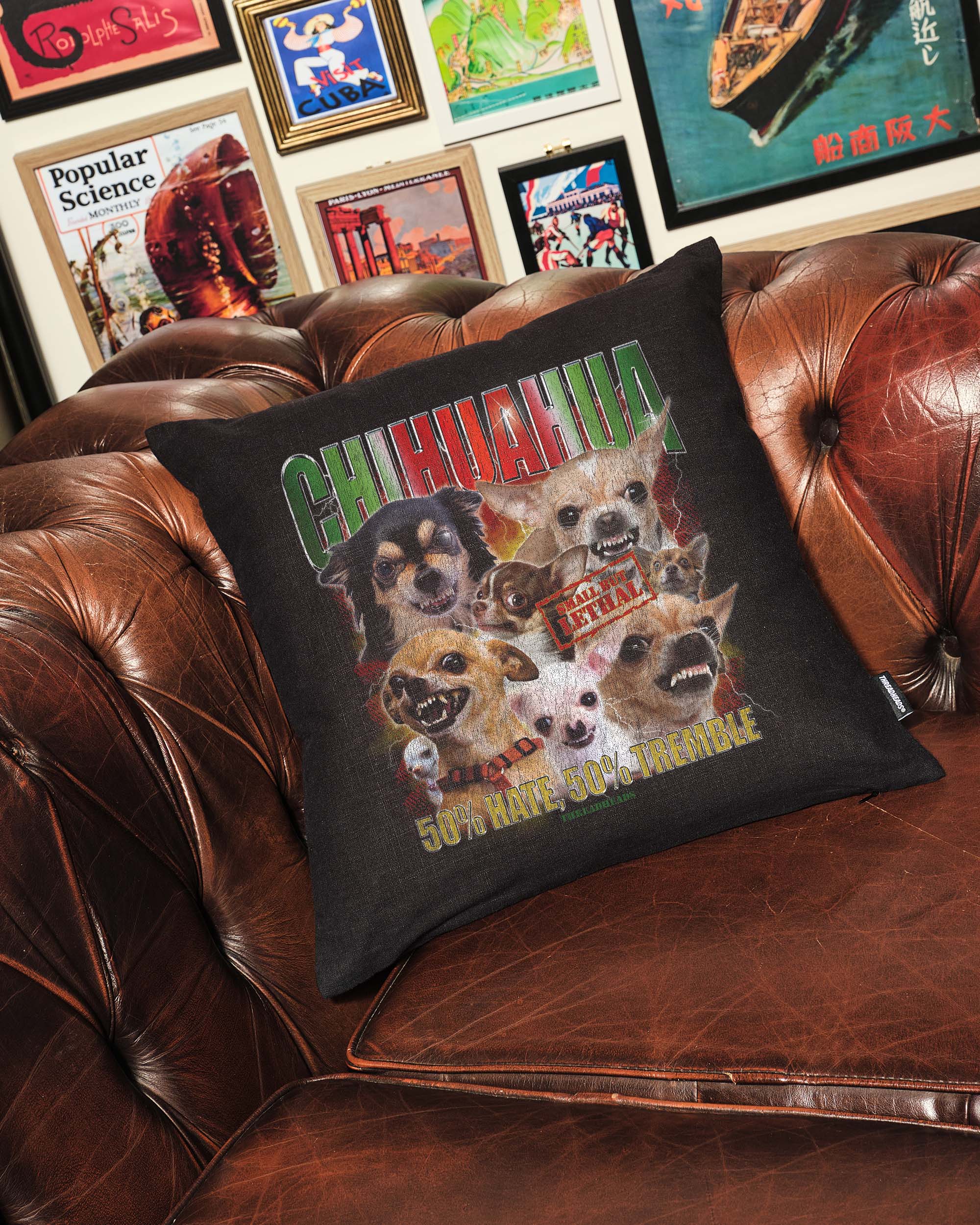 The Chihuahua Cushion Australia Online