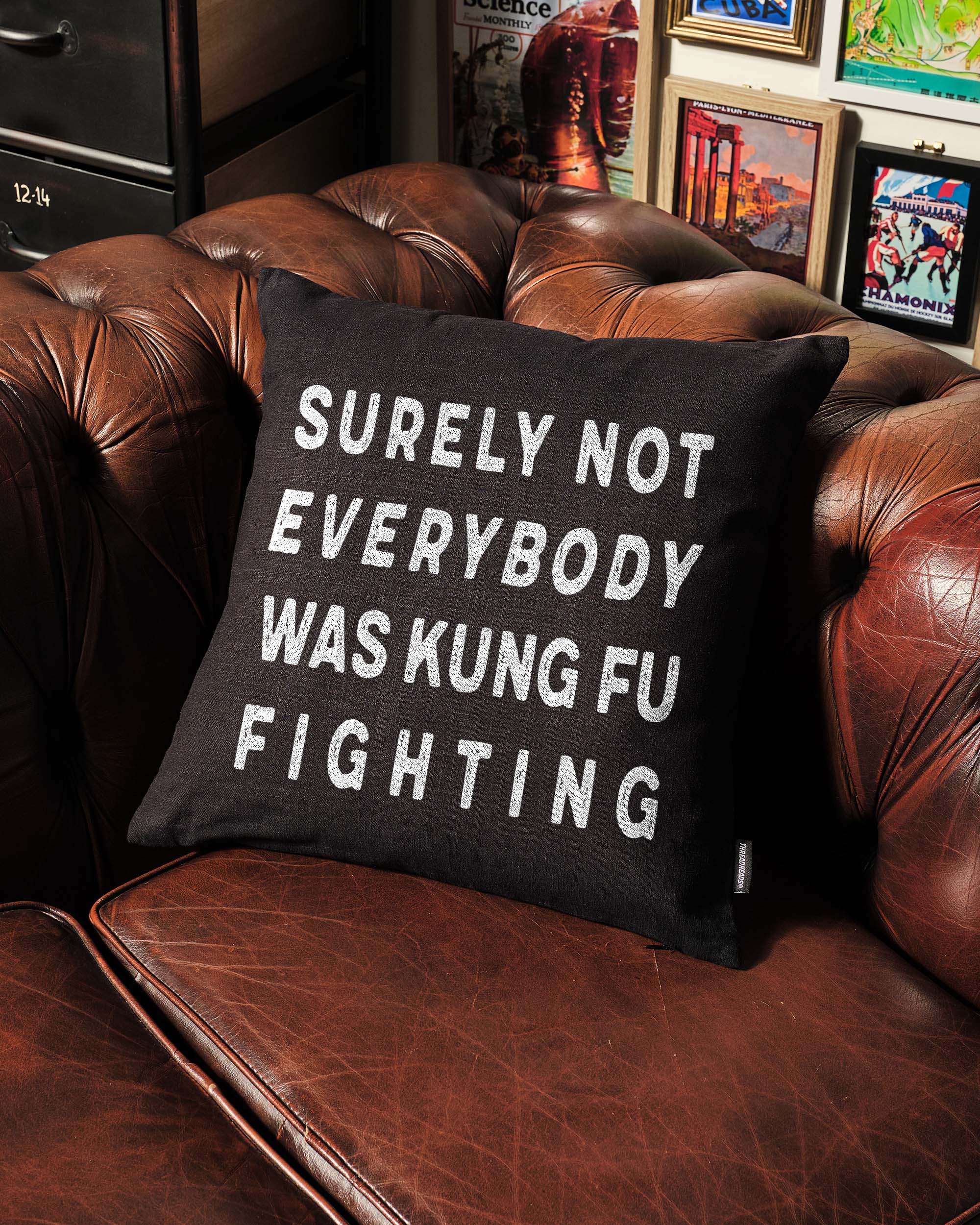 Kung Fu Fighting Cushion Australia Online
