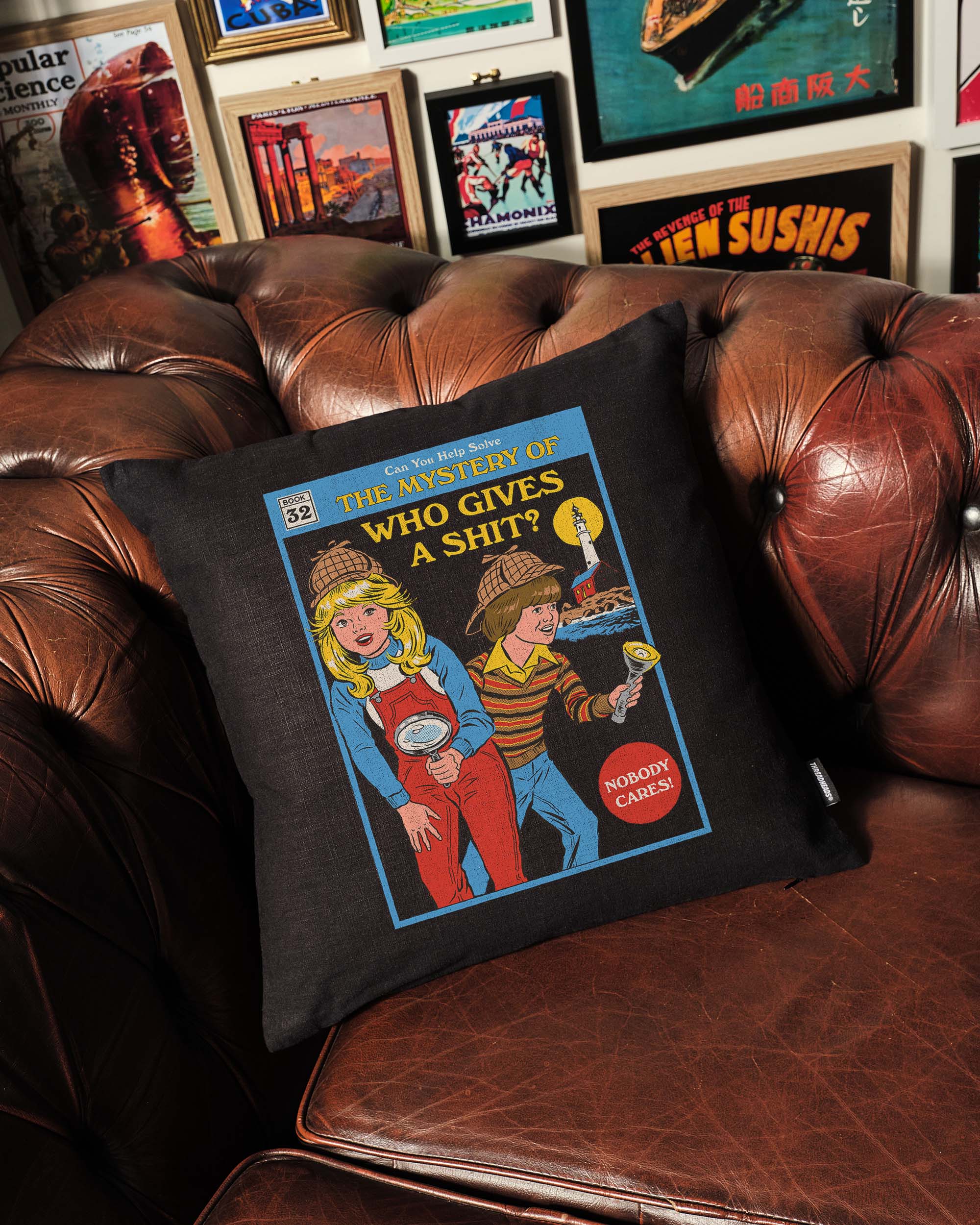 The Mystery of Who Gives a Sh-t Cushion Australia Online