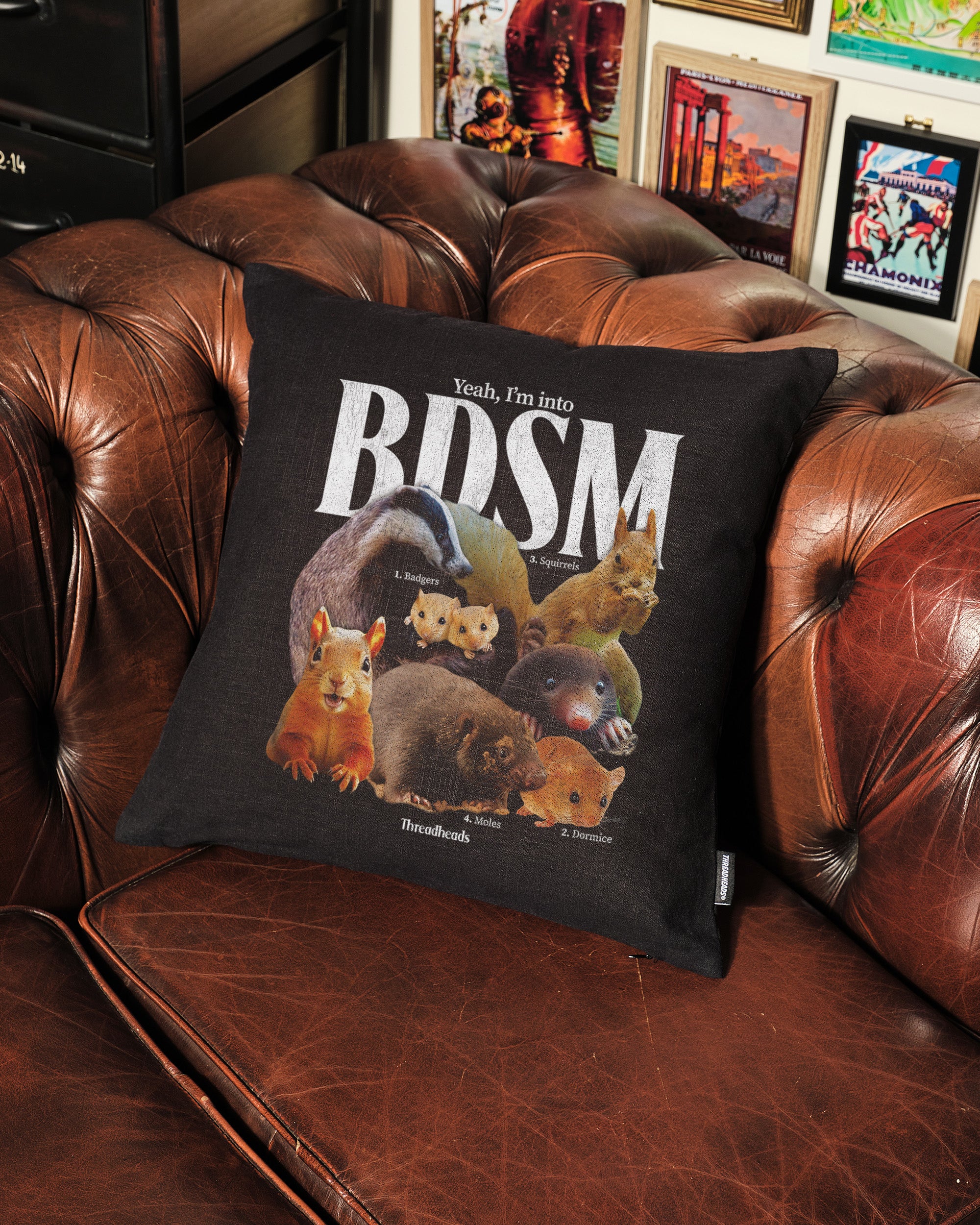 BDSM Cushion Australia Online