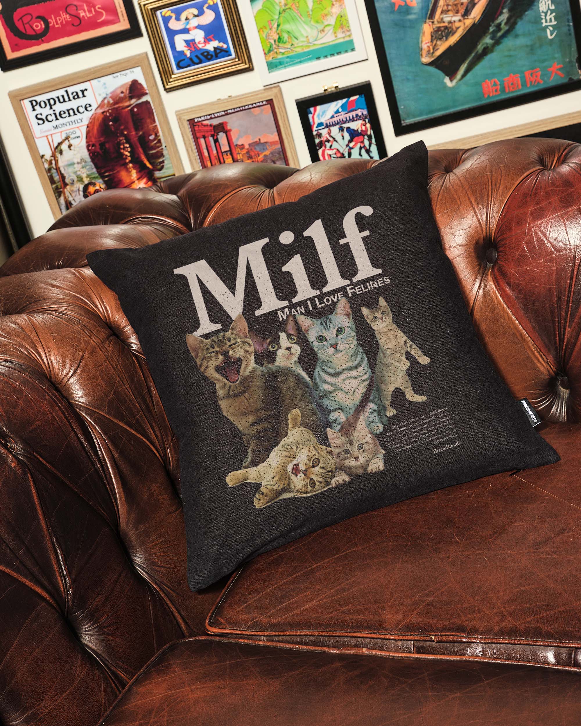 Man I Love Felines Cushion Australia Online