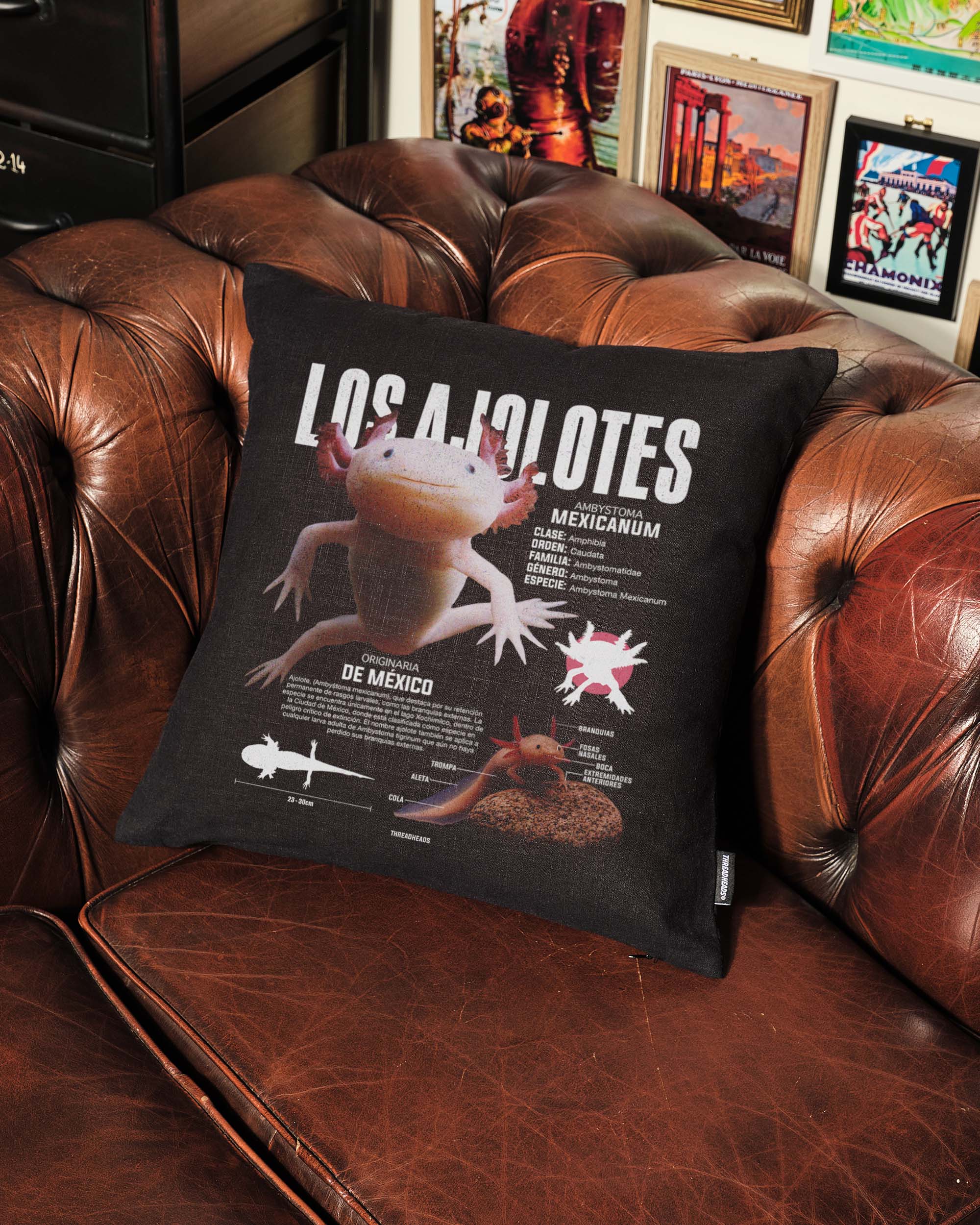 Los Ajolotes Cushion Australia Online Black