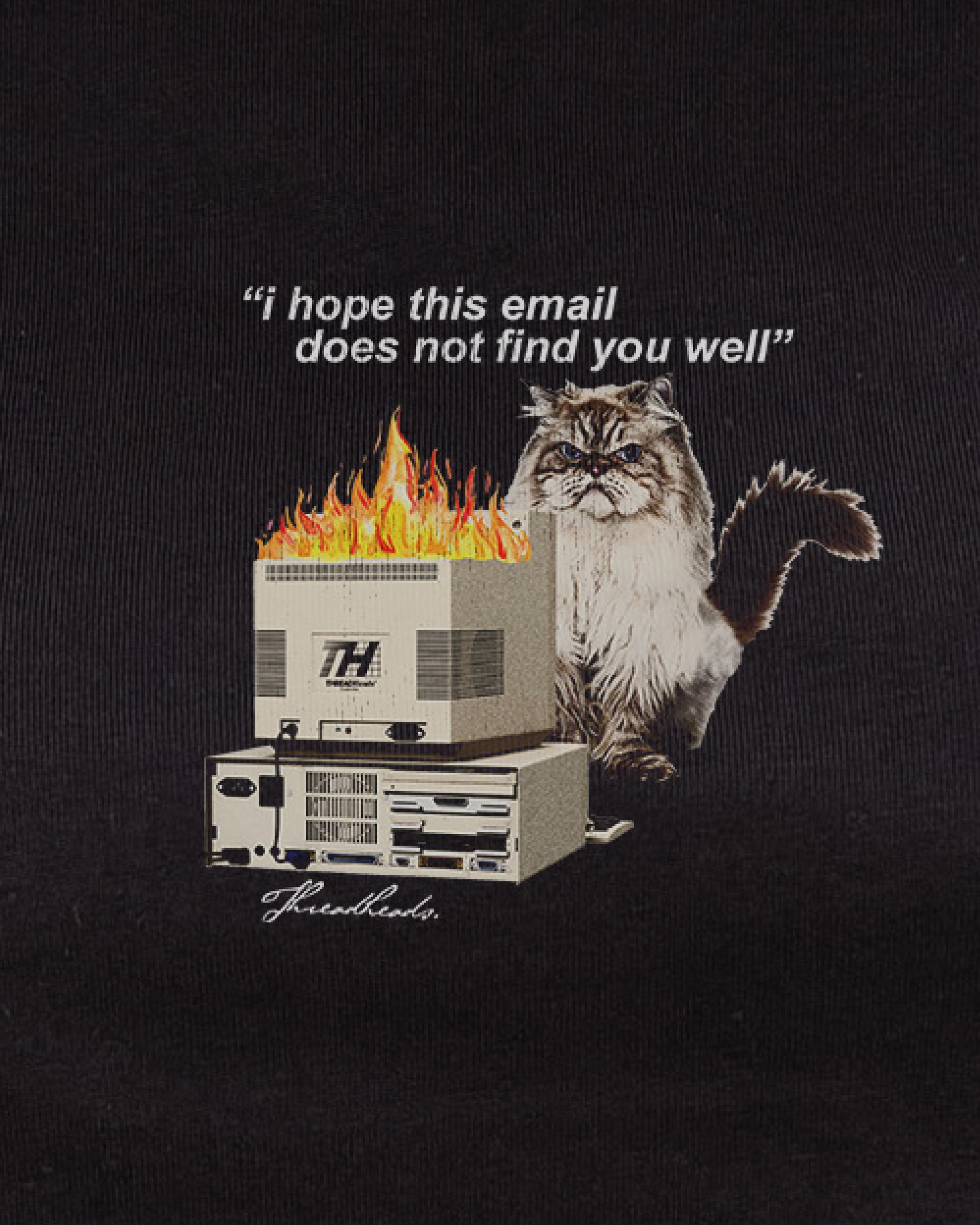 I Hope This Email T-Shirt Australia Online