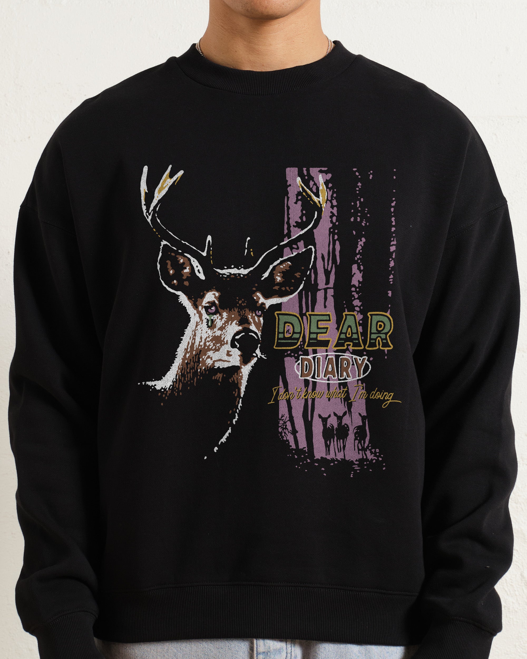 Dear Diary Sweatshirt Online Australia