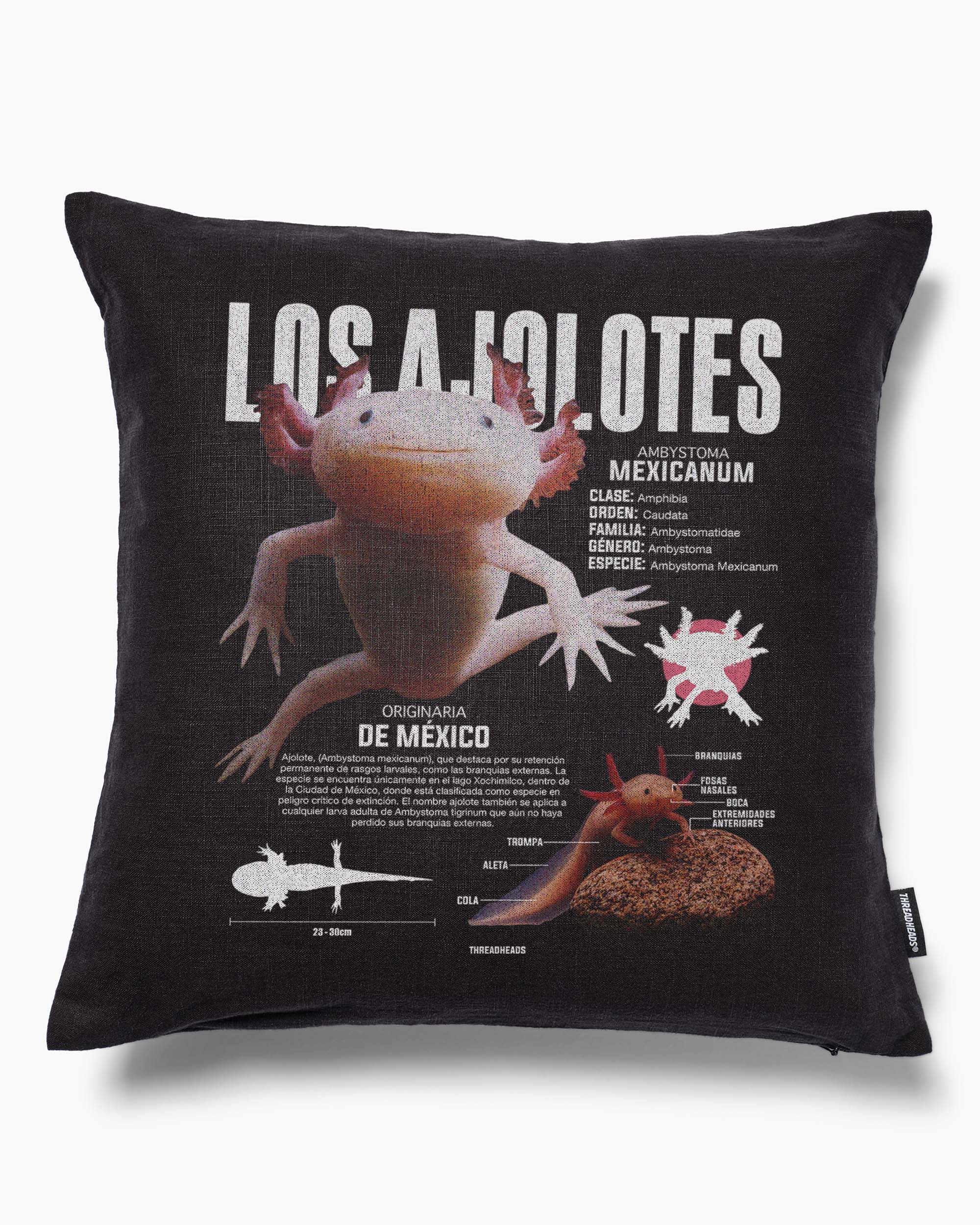 Los Ajolotes Cushion Australia Online Black