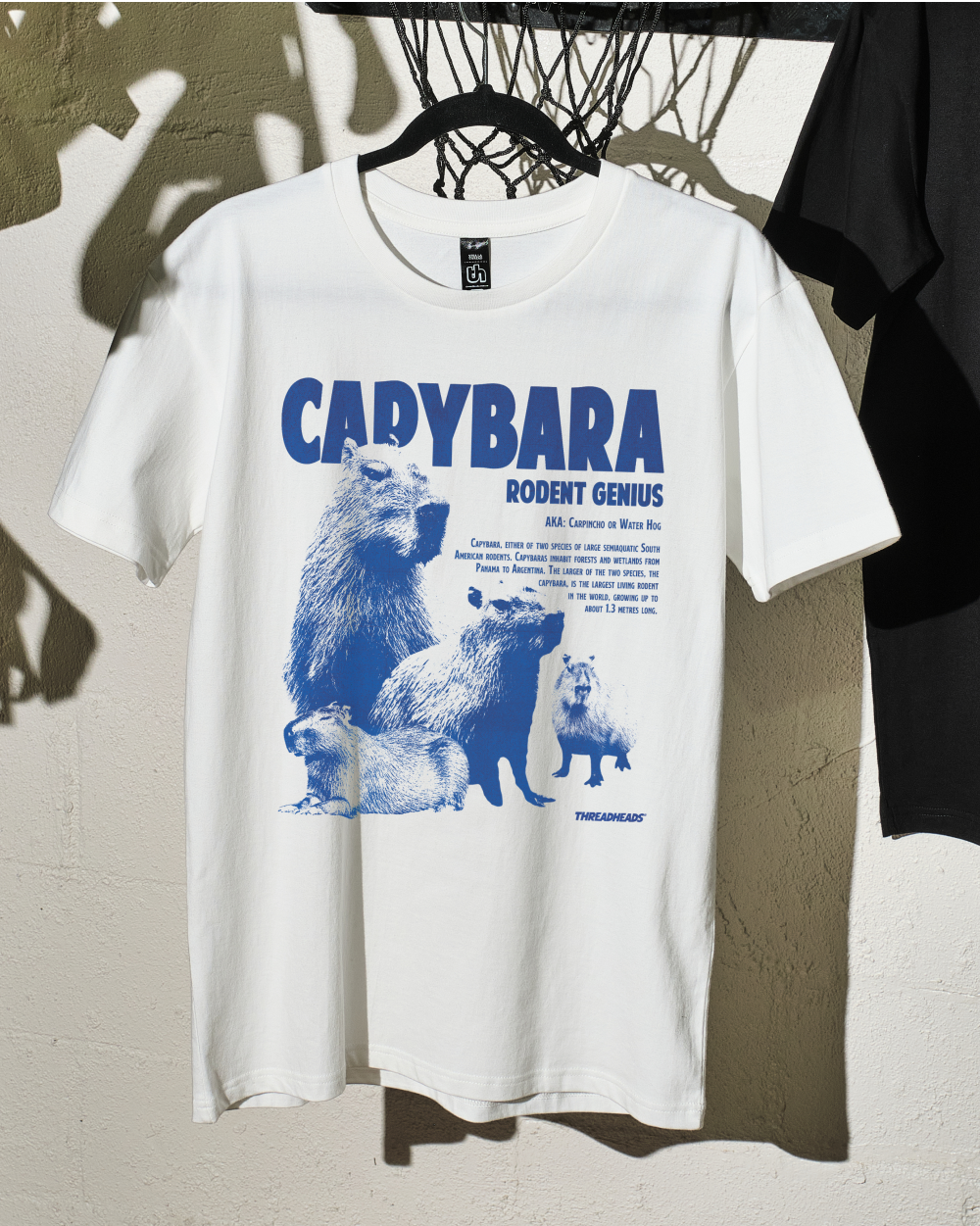 Capybara Rodent Genius T-Shirt Australia Online