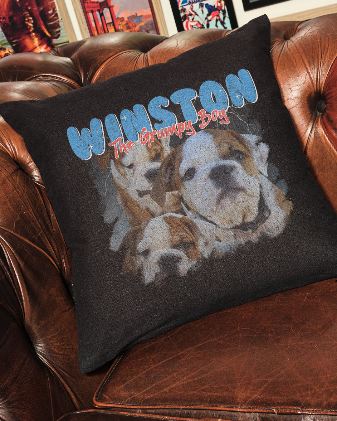 Bootleg Cushion