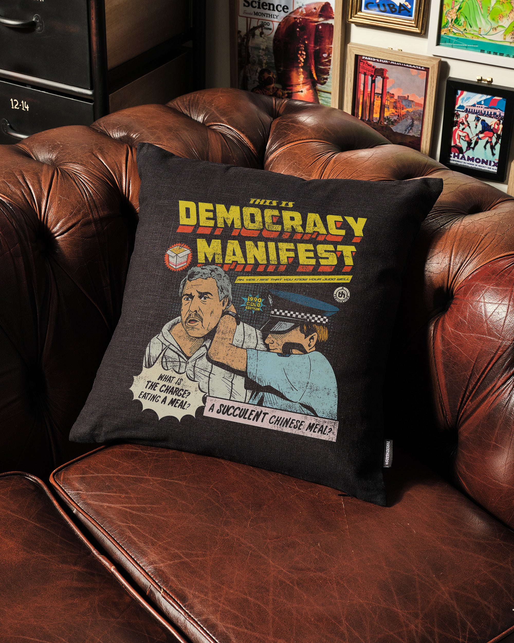 This is Democracy Manifest Cushion