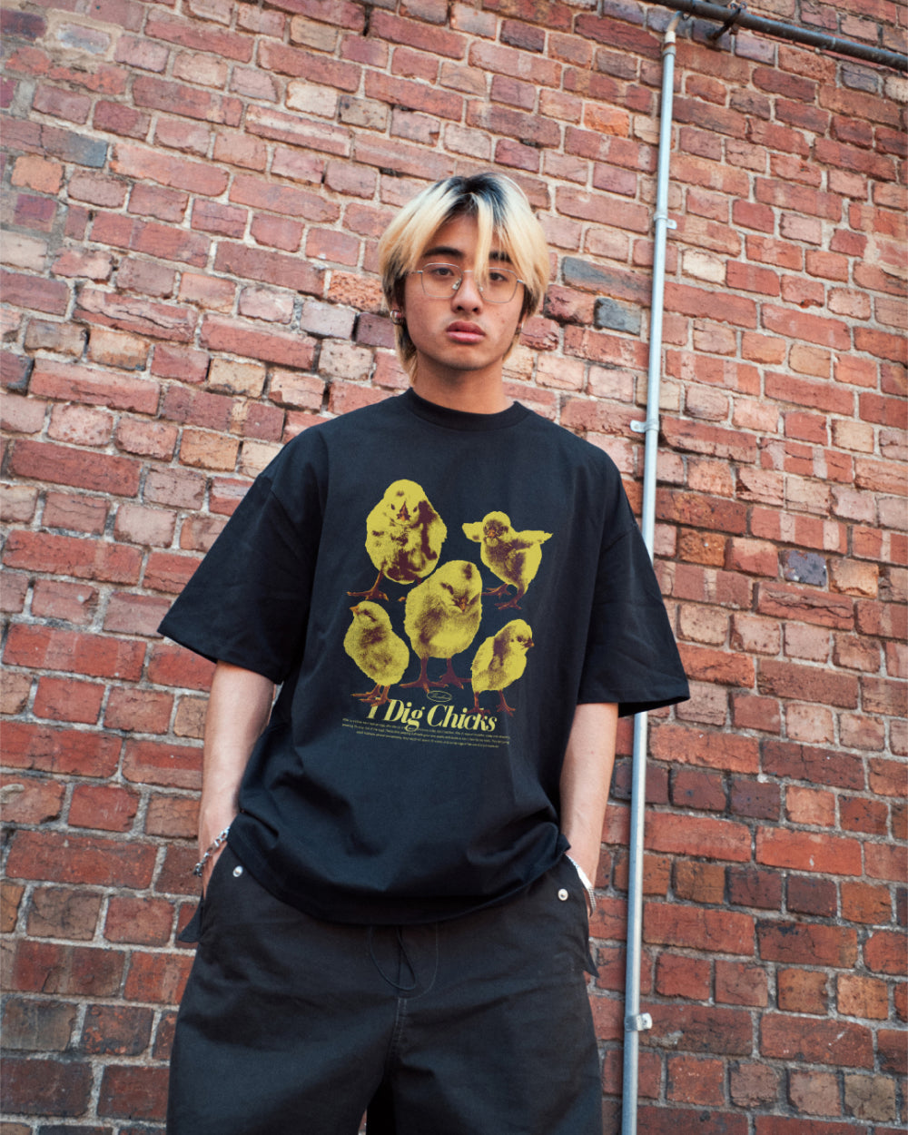 I Dig Chicks T-Shirt Australia Online