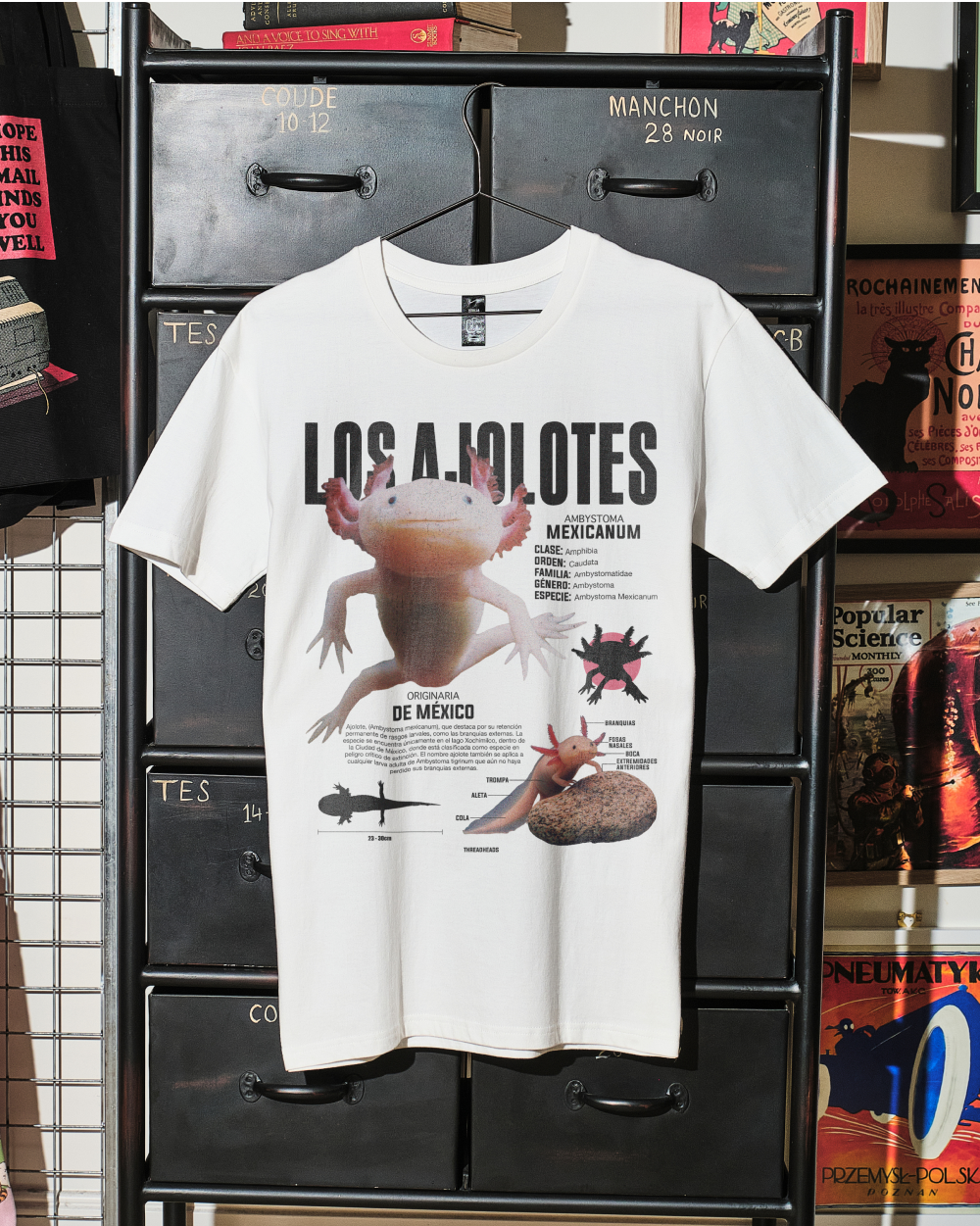 Los Ajolotes T-Shirt Australia Online