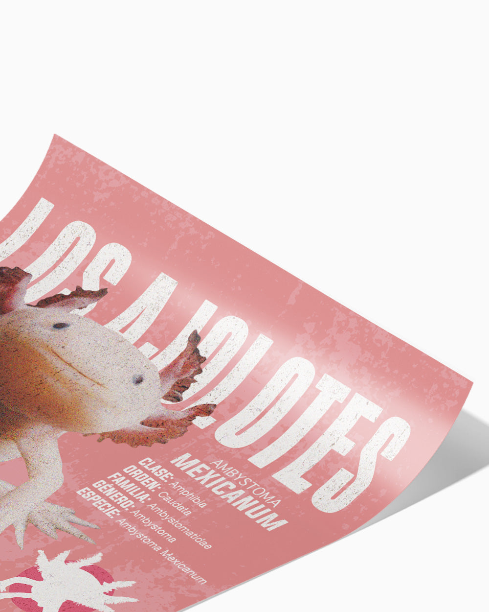 Los Ajolotes Art Print #colour_Pink