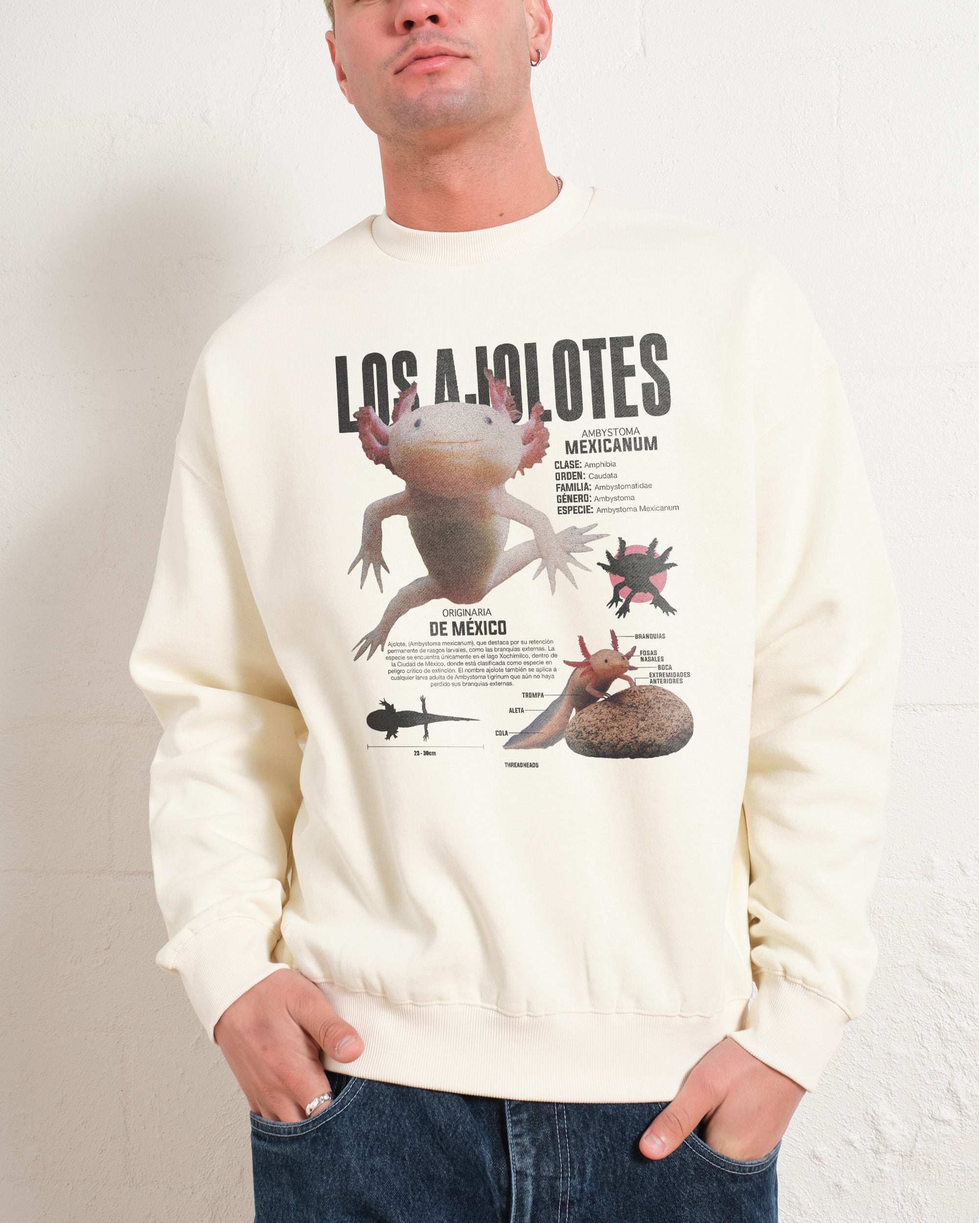 Los Ajolotes Sweatshirt Australia Online