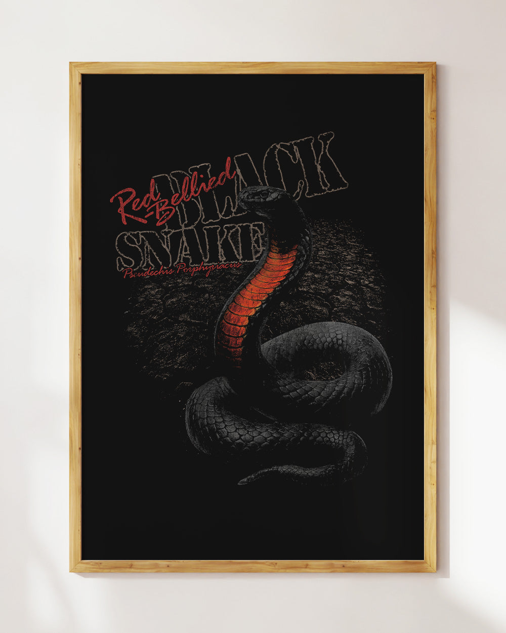 Red Bellied Black Snake Art Print