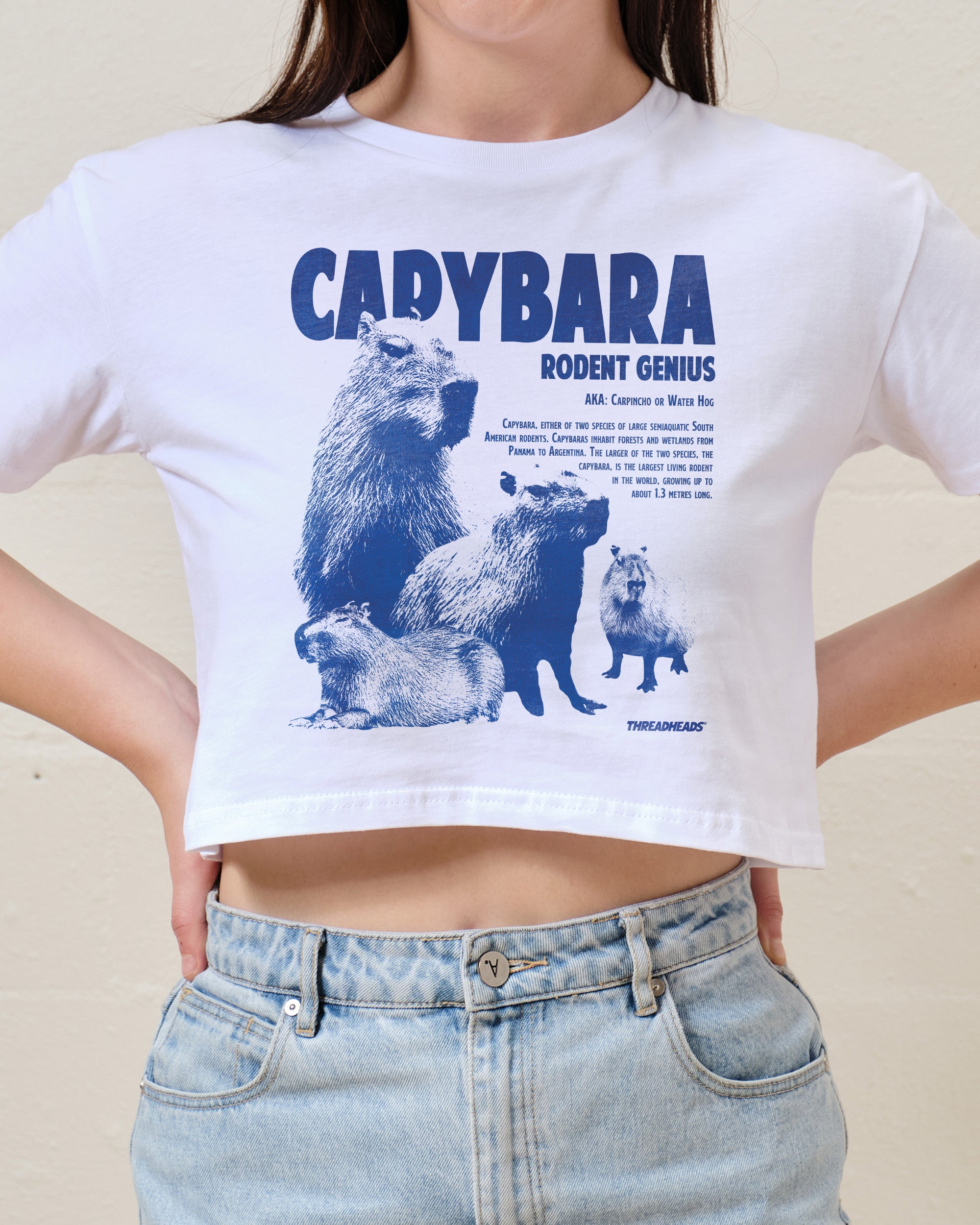 Capybara Rodent Genius Crop Tee Australia Online