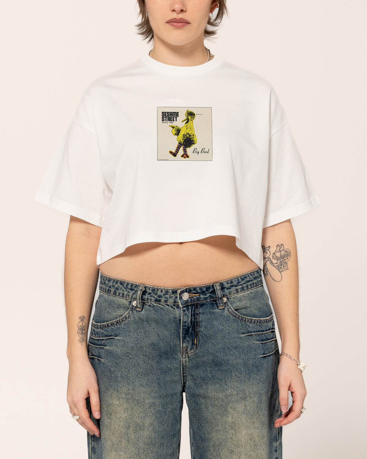 Big Bird Underground Crop Tee
