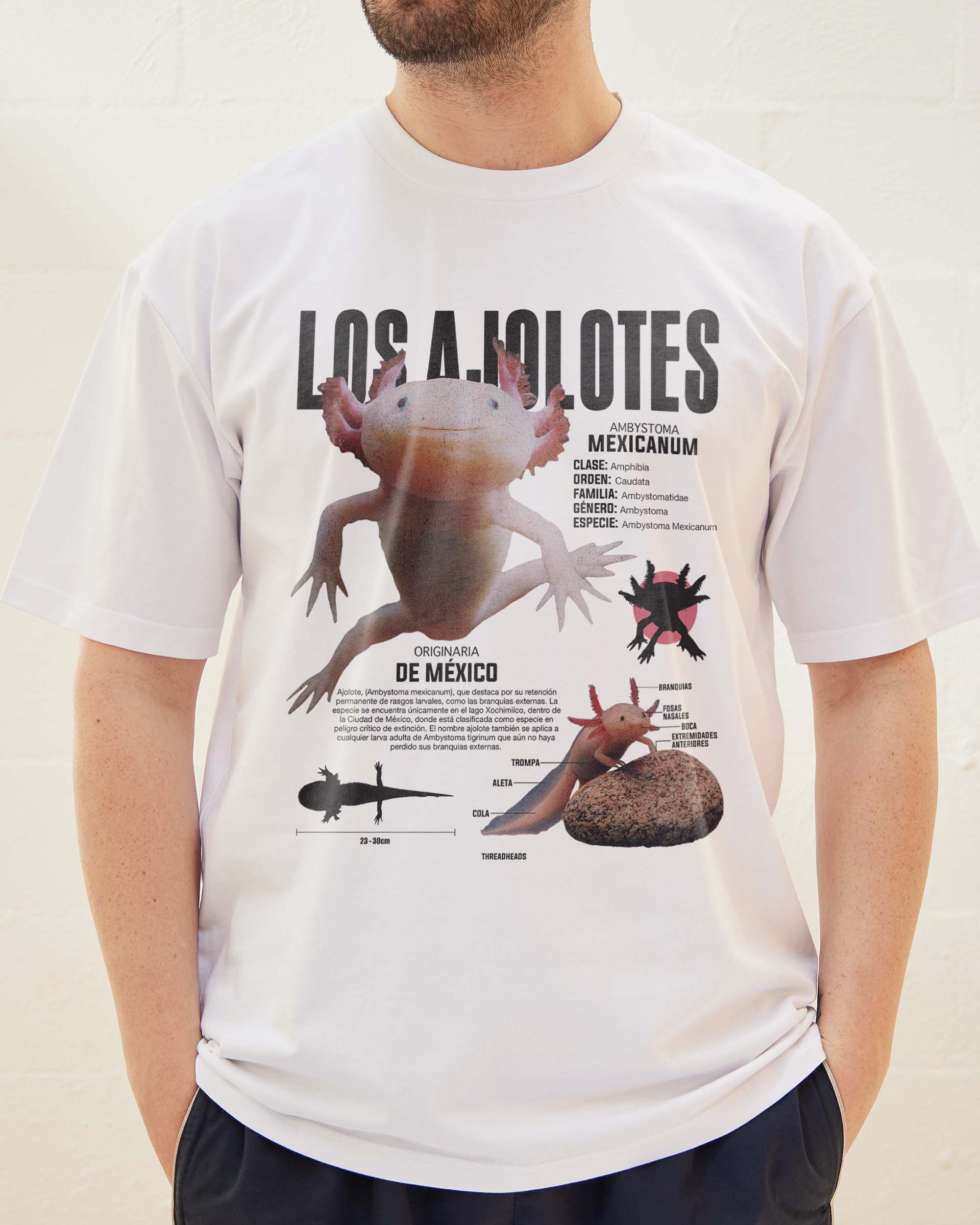 Los Ajolotes T-Shirt Australia Online
