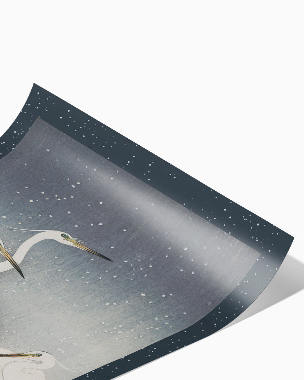 Egrets In Snow Art Print Australia Online