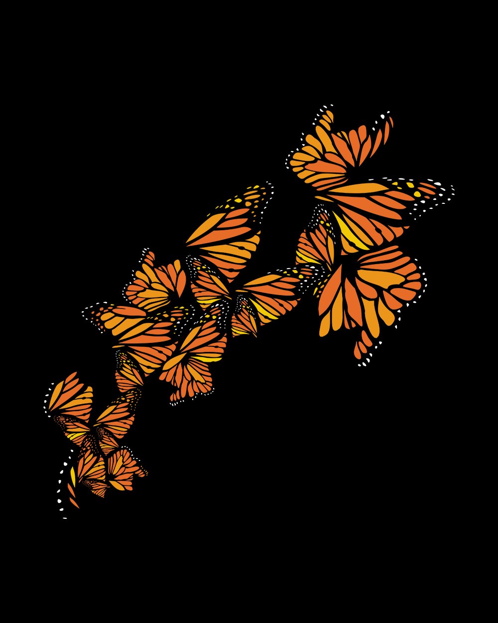 Monarch T-Shirt Australia Online