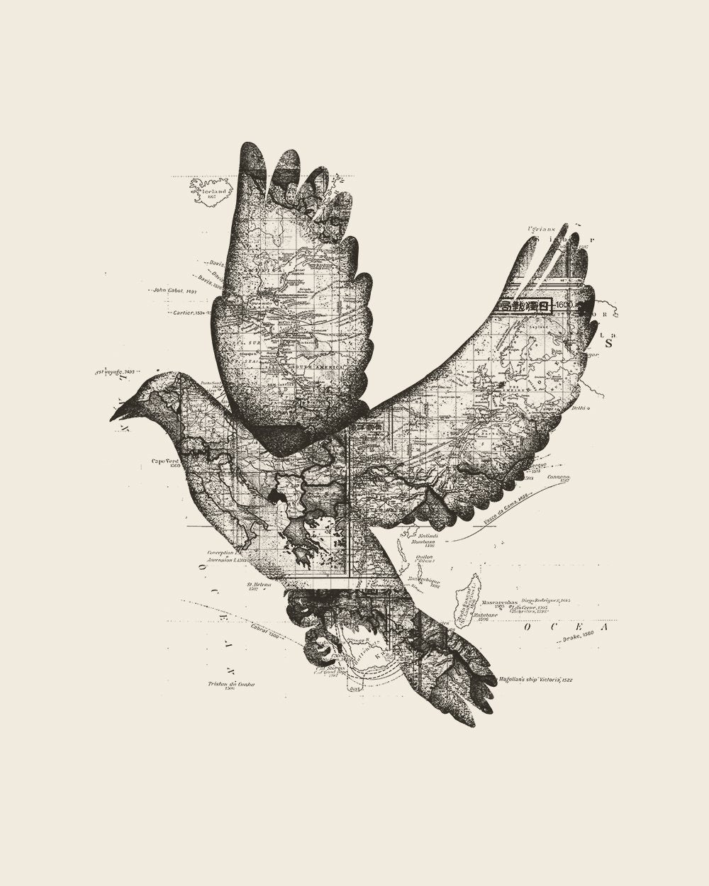 Wanderlust Bird T-Shirt Australia Online