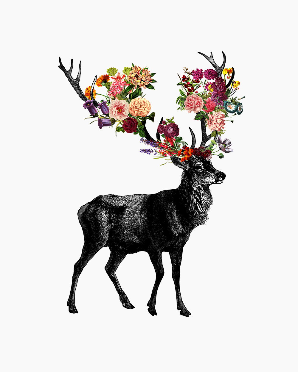 Spring Itself Deer Floral T-Shirt Australia Online #colour_white