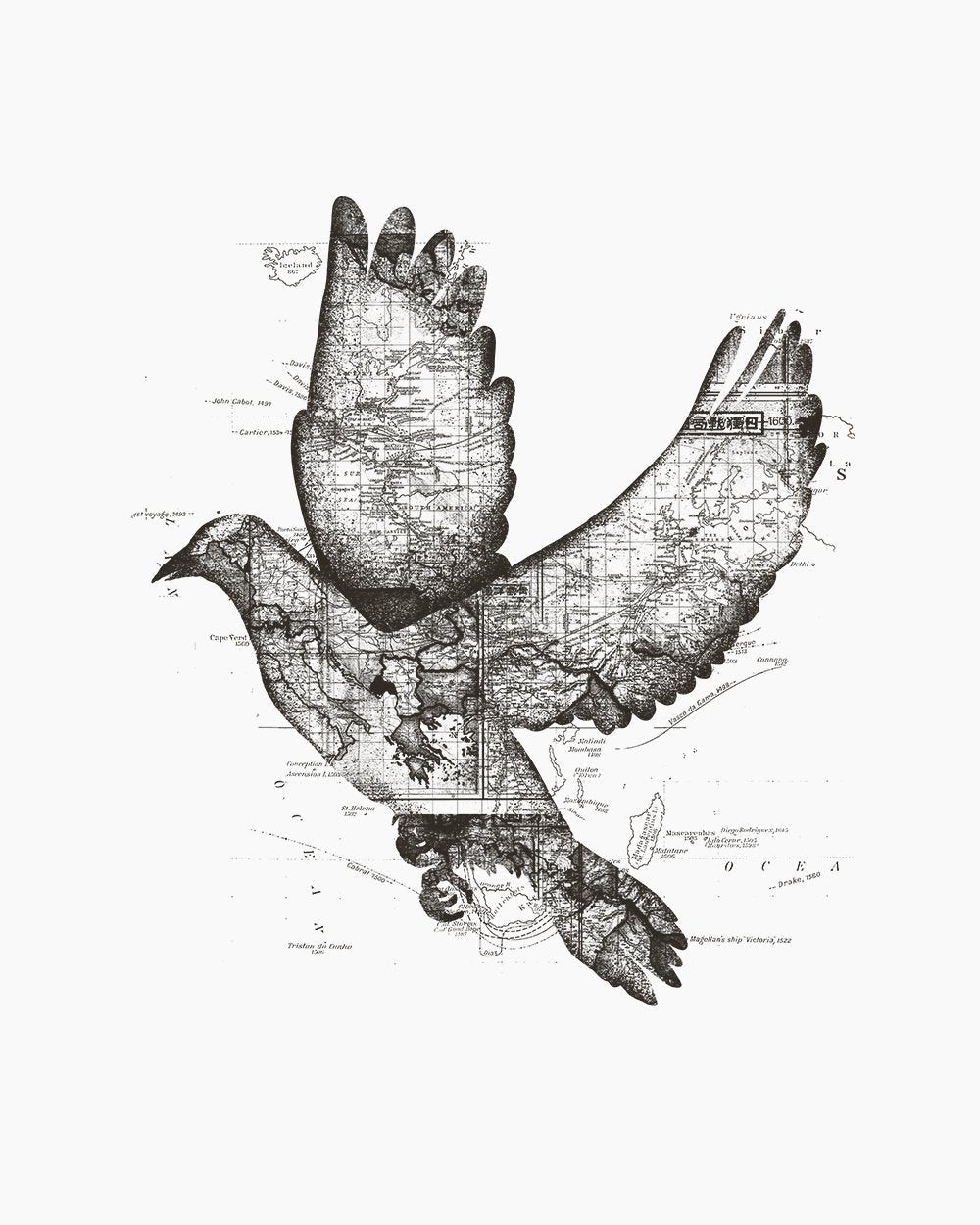 Wanderlust Bird T-Shirt Australia Online