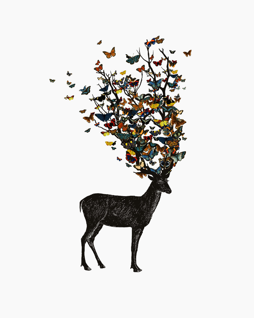 Wild Nature T-Shirt Australia Online