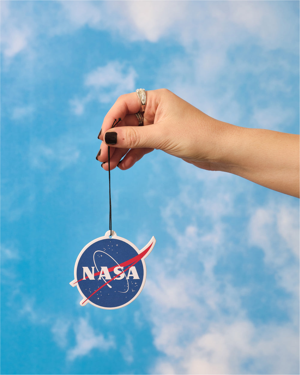 NASA Meatball Air Freshener
