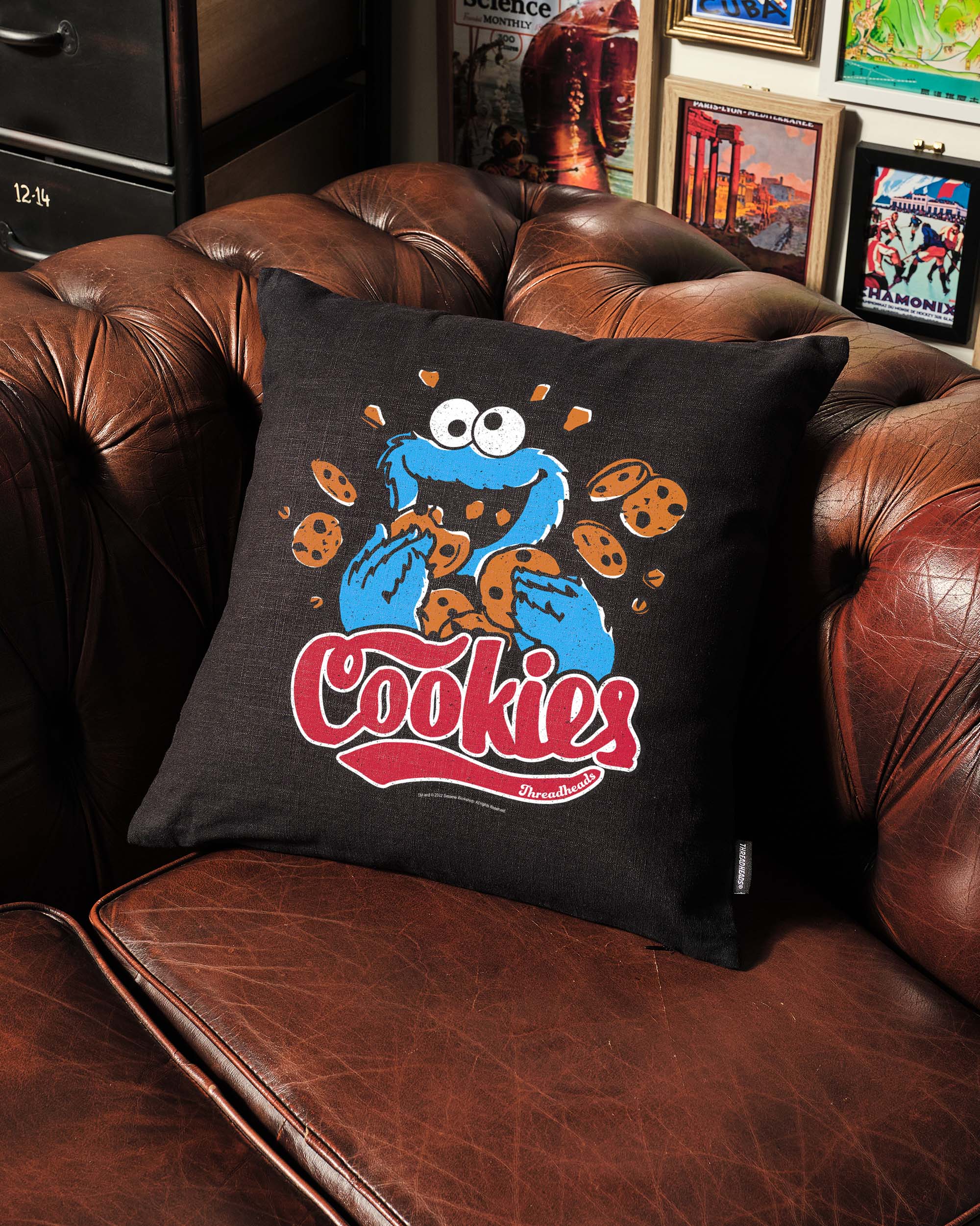 Cookie Monster Cookies Cushion