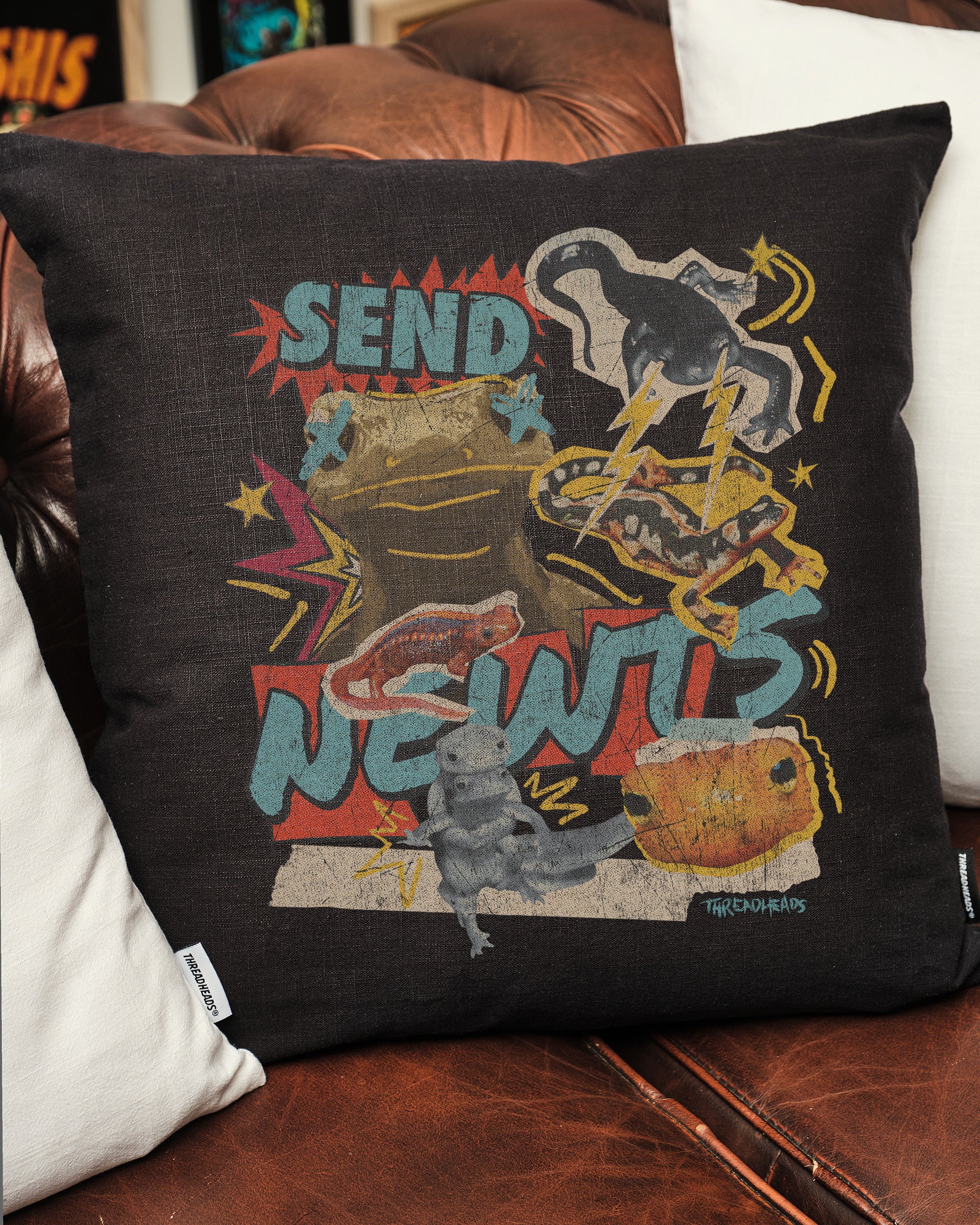 Send Newts Cushion Australia Online