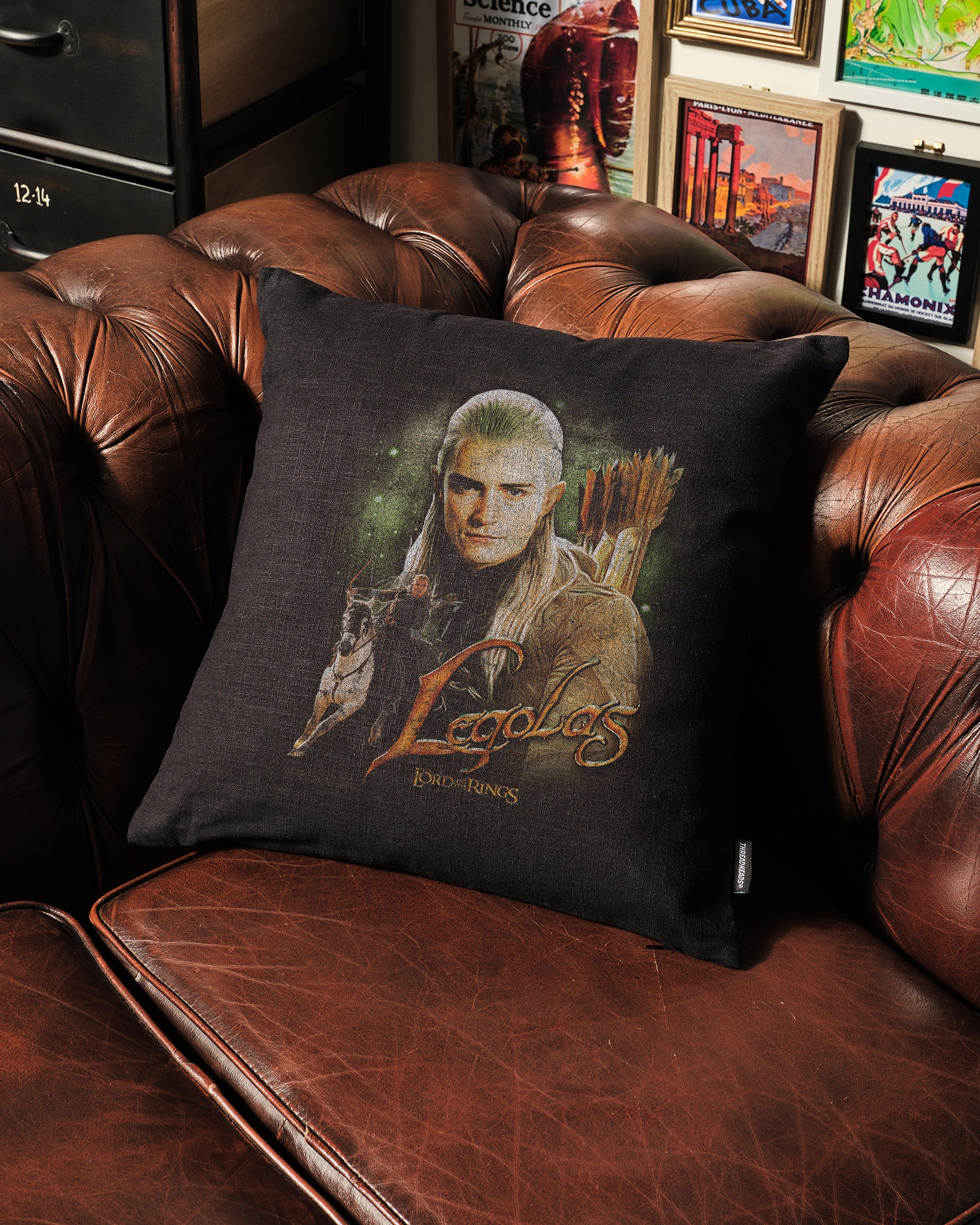 Vintage Legolas Cushion