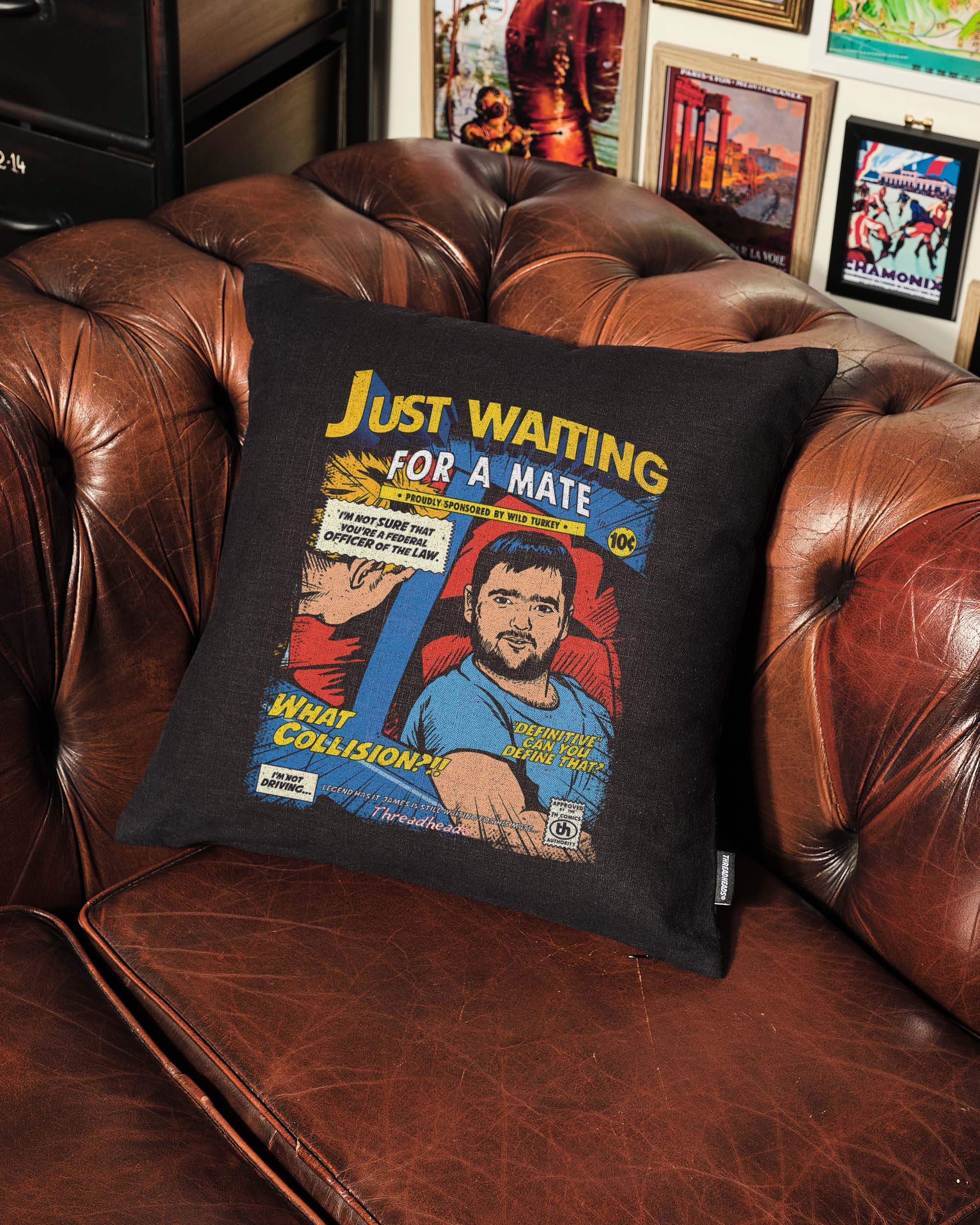 Just Waiting for a Mate Cushion Australia Online
