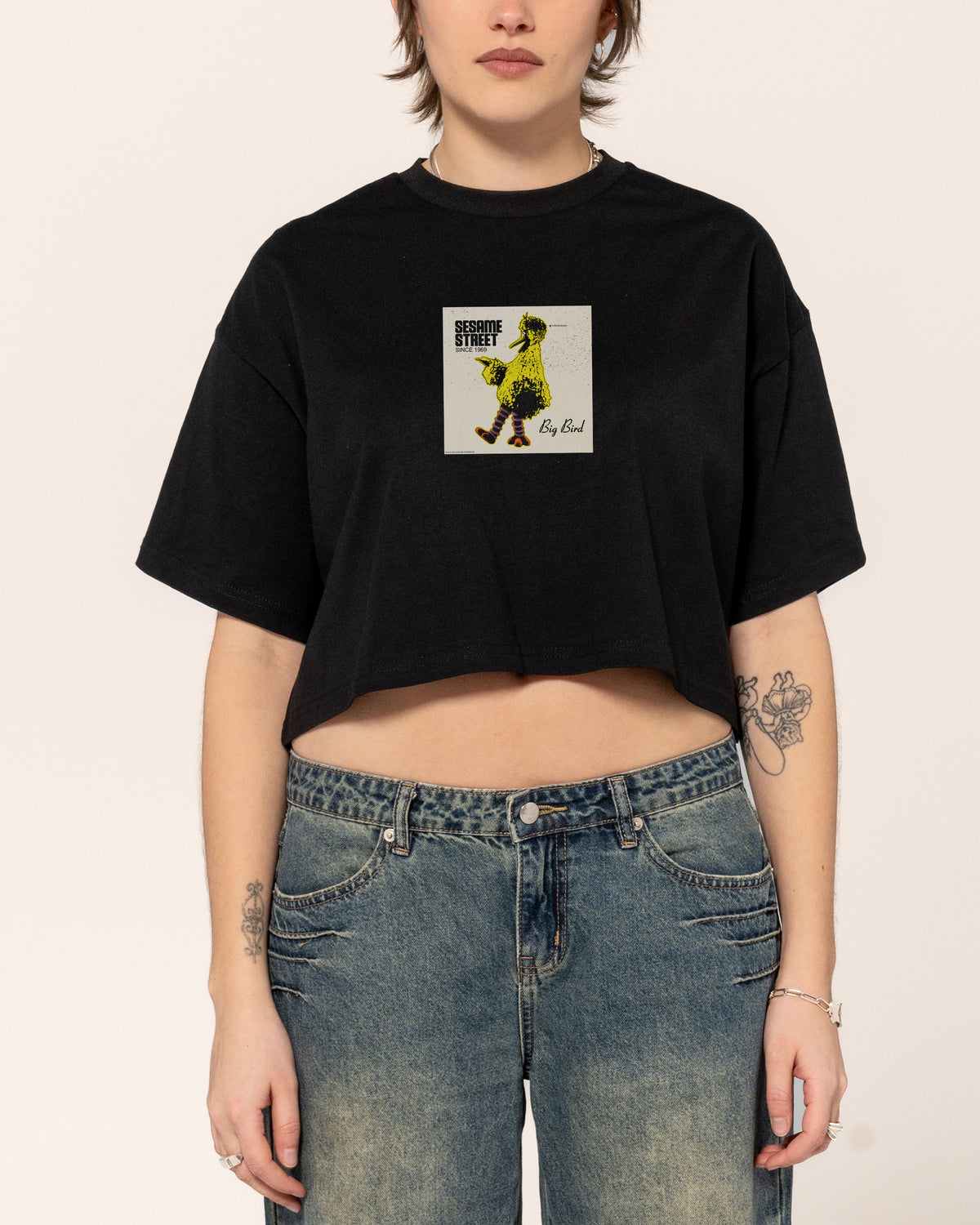 Big Bird Underground Crop Tee