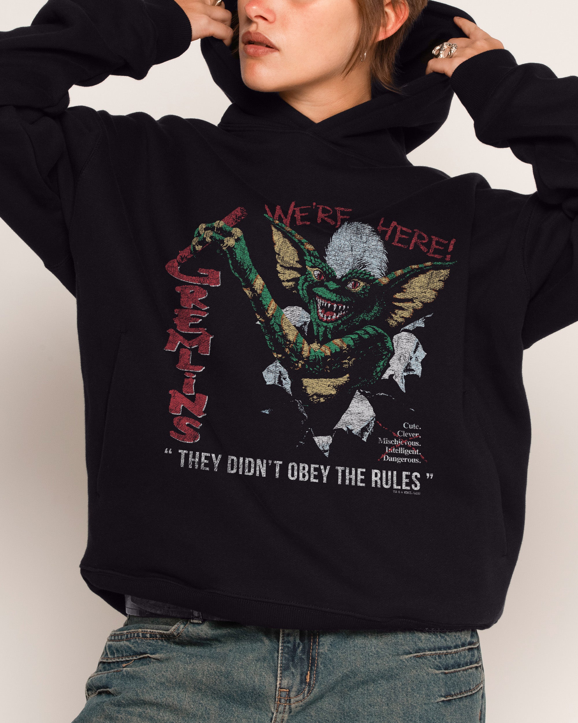 We’re Here Hoodie