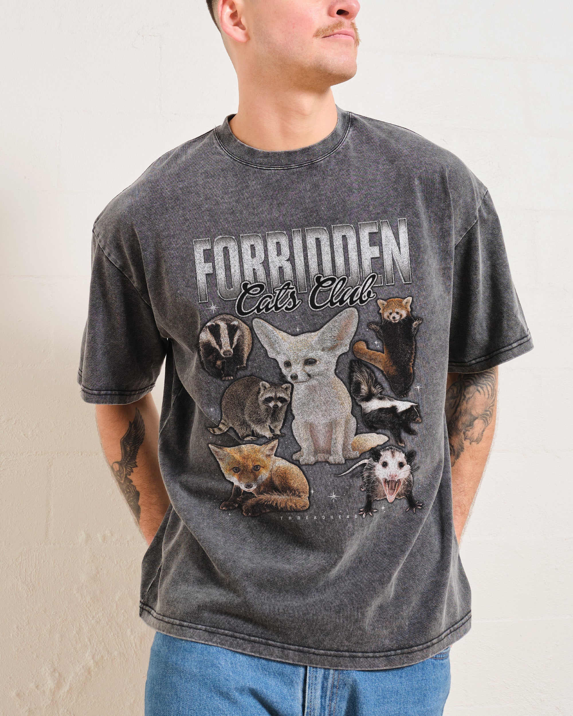 Forbidden Cat Club Wash Tee Australia Online Grey Stone