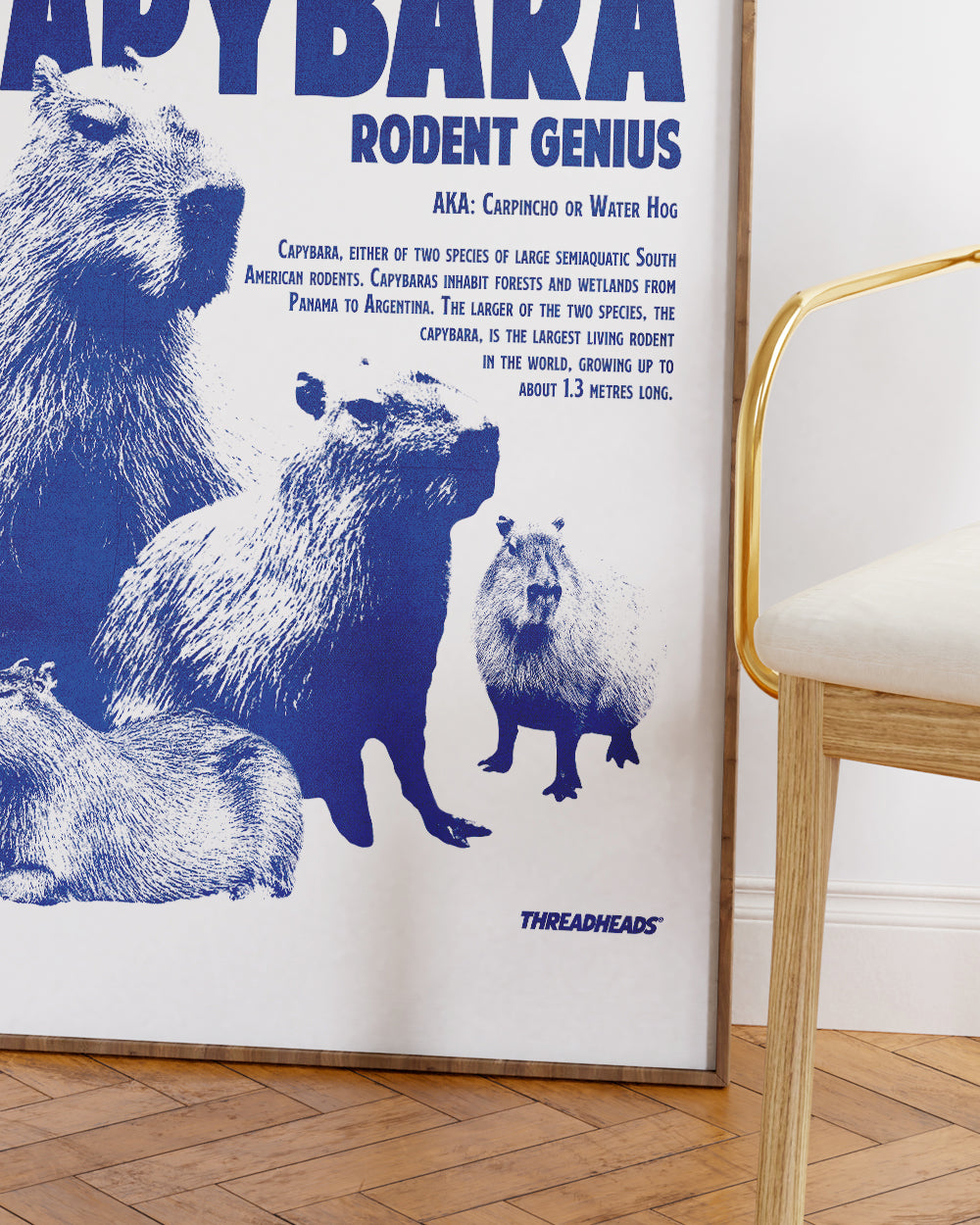 Capybara Rodent Genius Art Print Australia Online