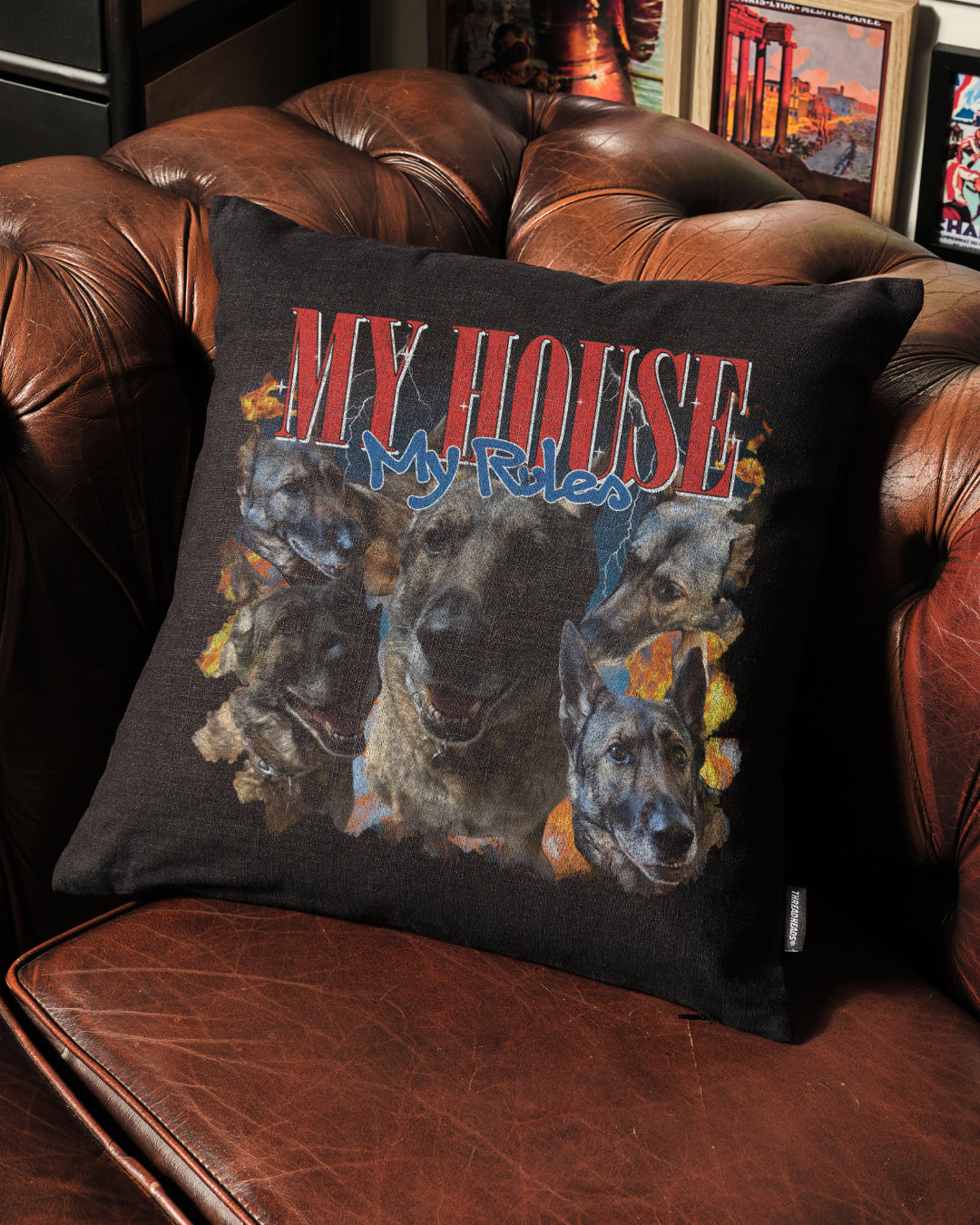 Bootleg Cushion