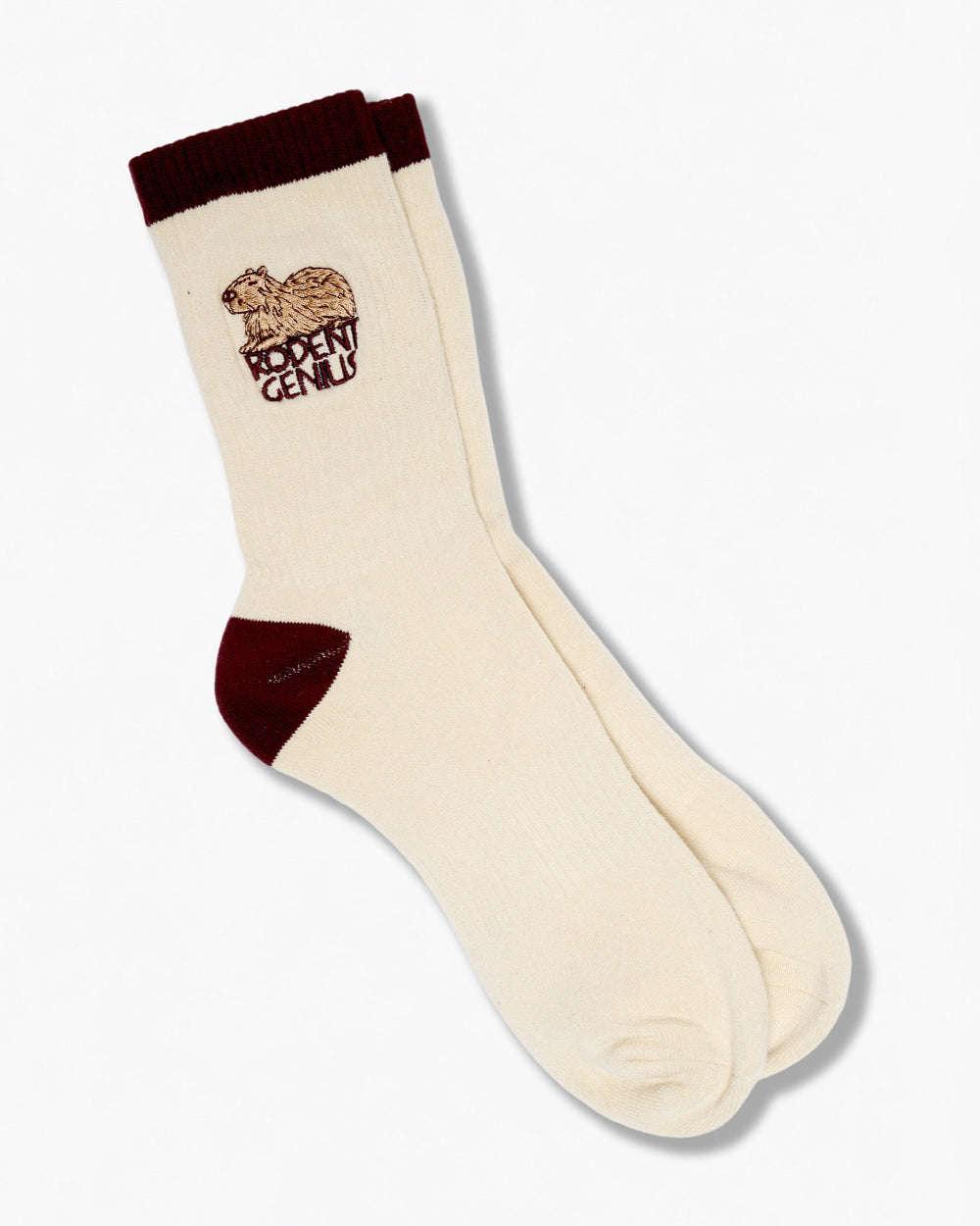 Rodent Genius Socks