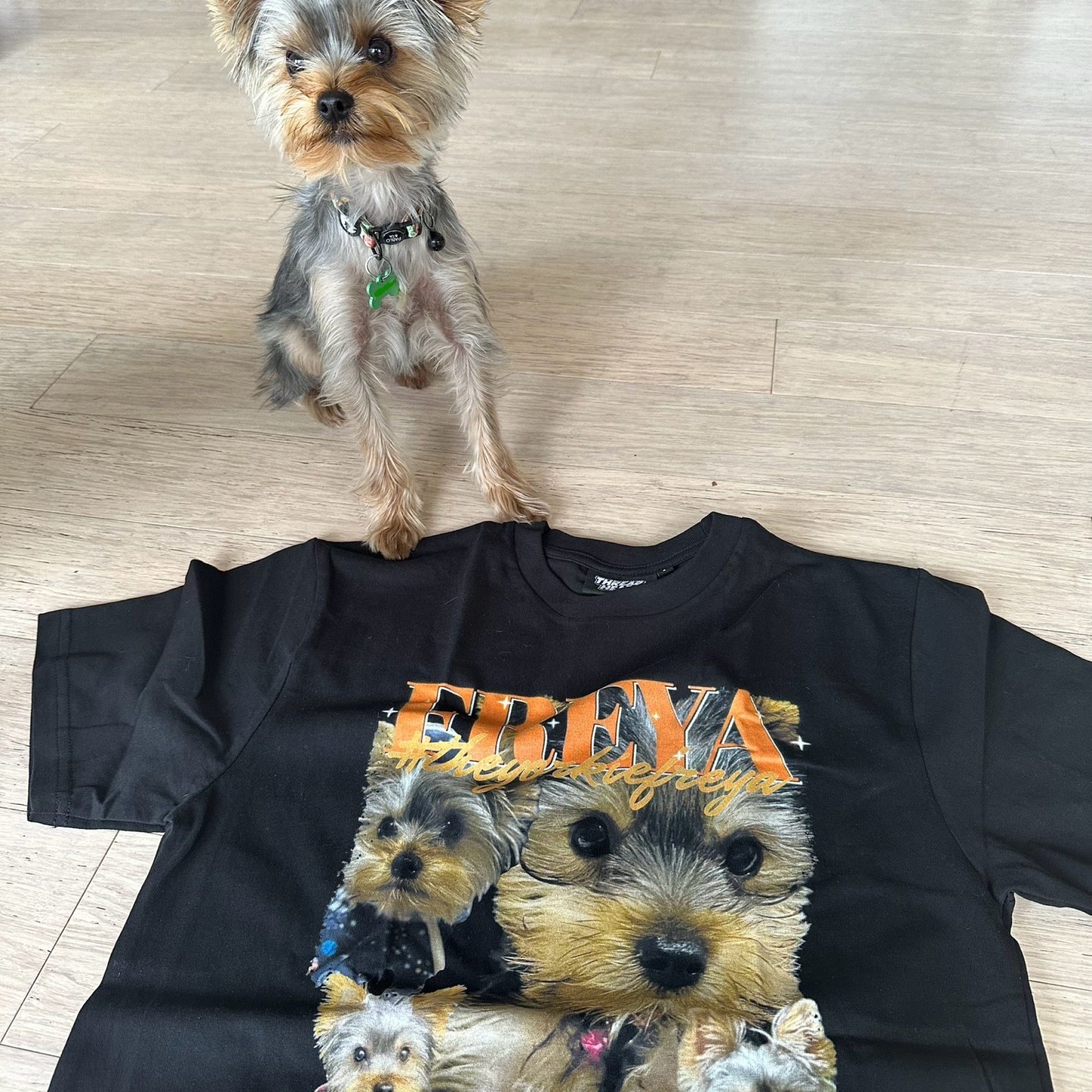 Custom t outlet shirts for dogs