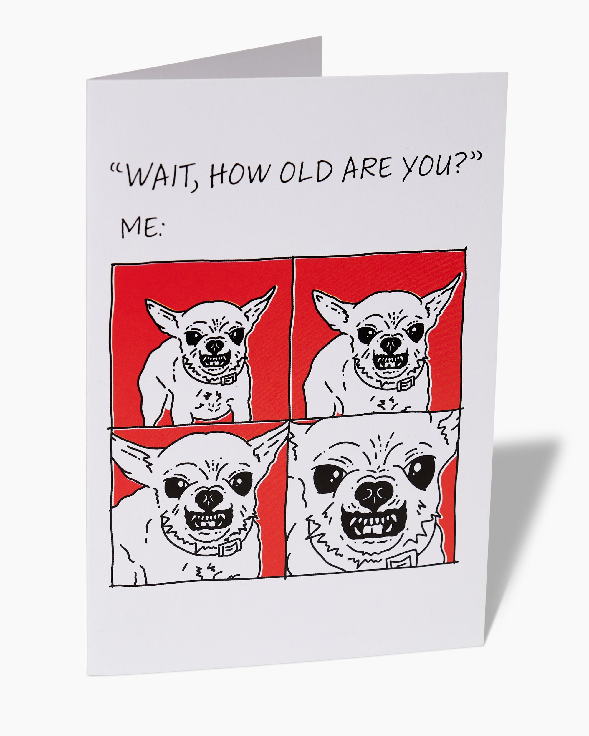 Animal Birthday Greeting Card Bundle