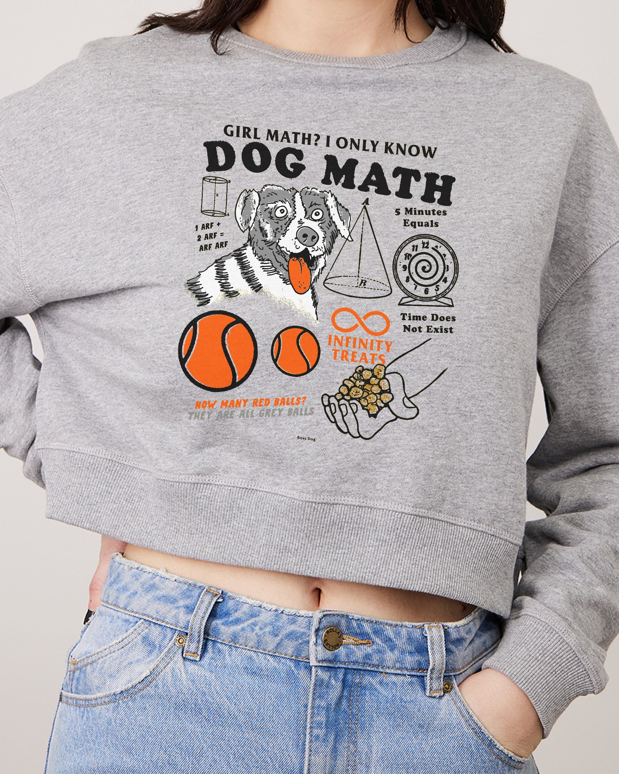 Dog Math Crop Jumper Australia Online Grey