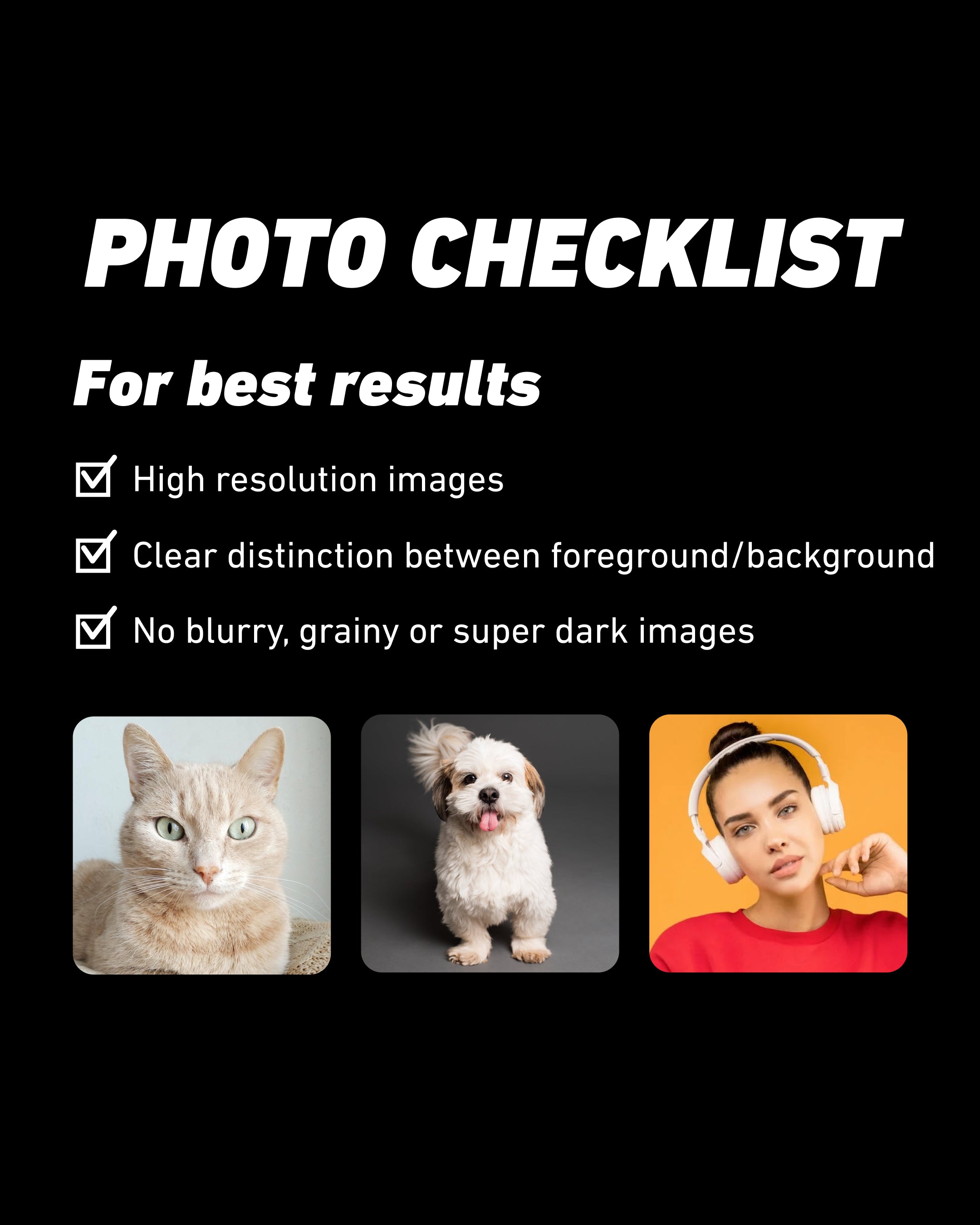 Custom royal pet portrait shirt — Threadheads