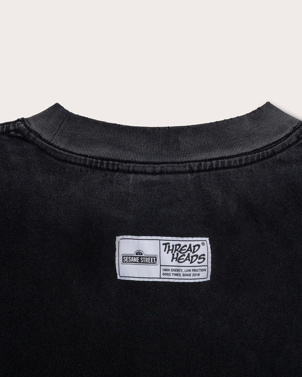 Bert and Ernie Street Patrol Wash Tee