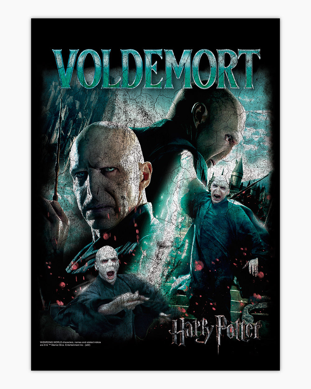 Voldemort Vintage Art Print