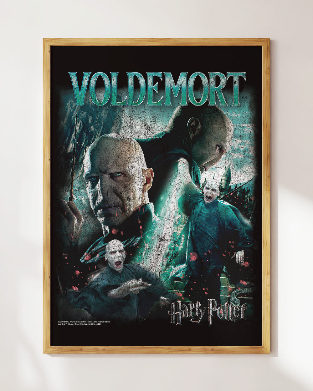 Voldemort Vintage Art Print