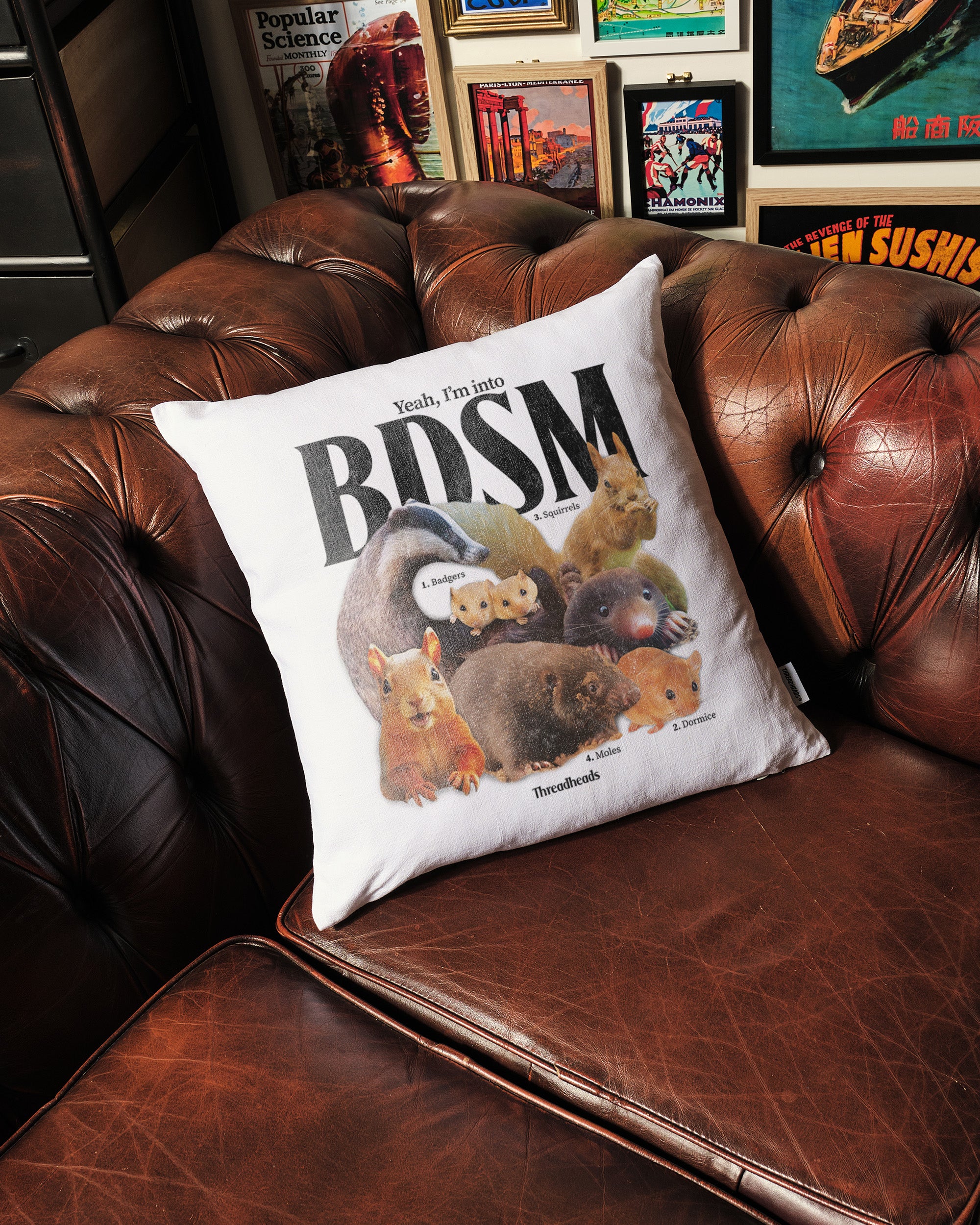 BDSM Cushion Australia Online