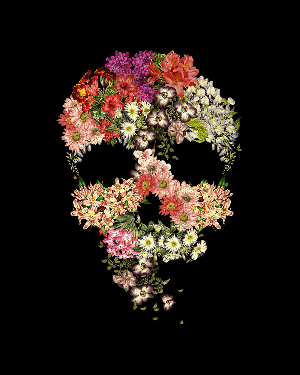 Skull Floral Decay Hoodie Australia Online #colour_black