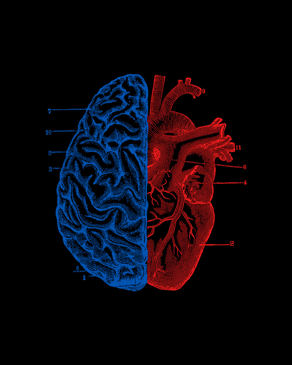 Heart and Brain T-Shirt Australia Online #colour_black